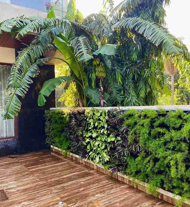 19 Small Courtyard Ideas to Transform Your Outdoor Space 5 19 Small Courtyard Ideas to Transform Your Outdoor Space 4