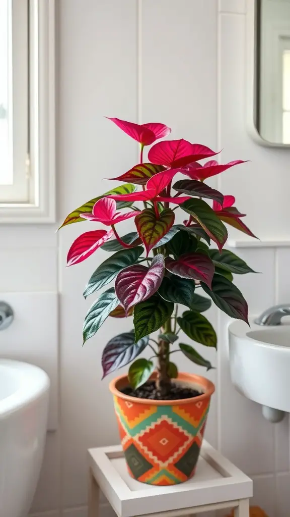 A vibrant Fittonia plant in a colorful pot, placed in a bright bathroom setting.