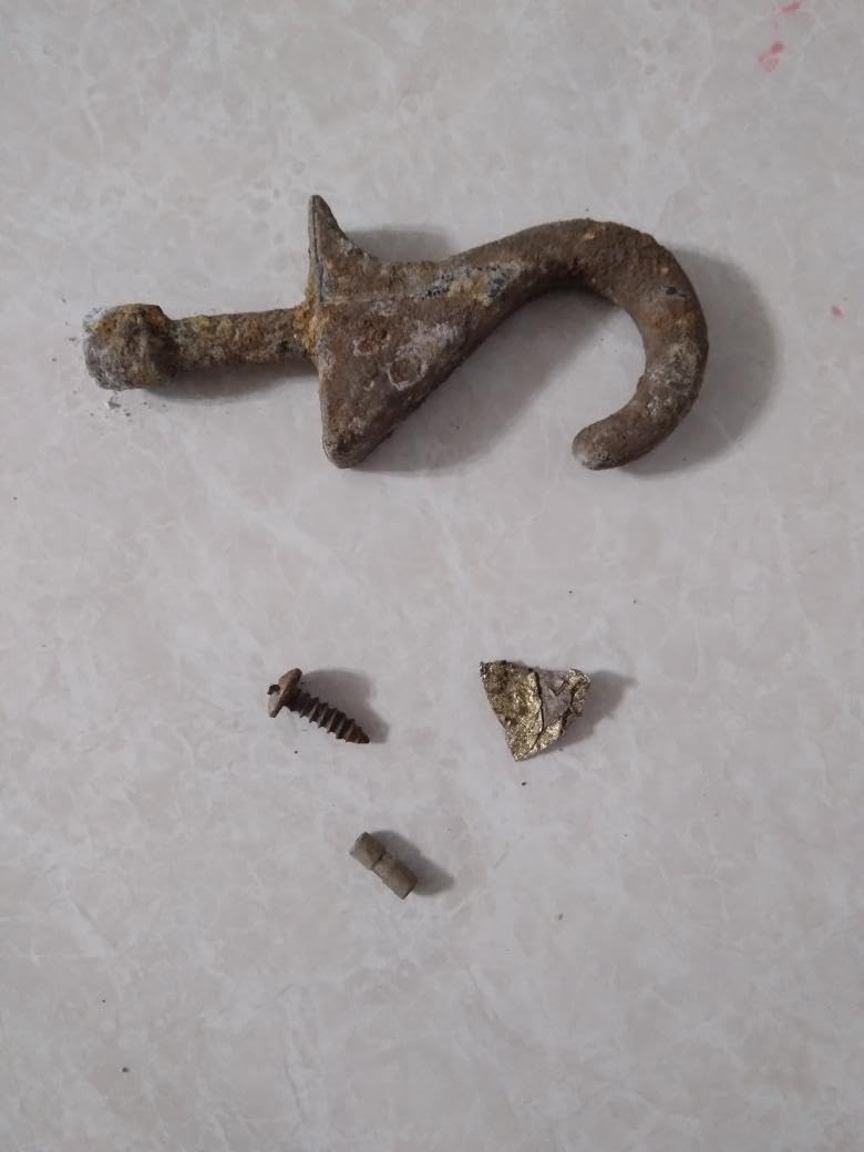 Garrett ACE 300 Metal Detector for Adults - Made in The USA - Waterproof Coil and Headphone Plus Accessories - Customer Photo 2