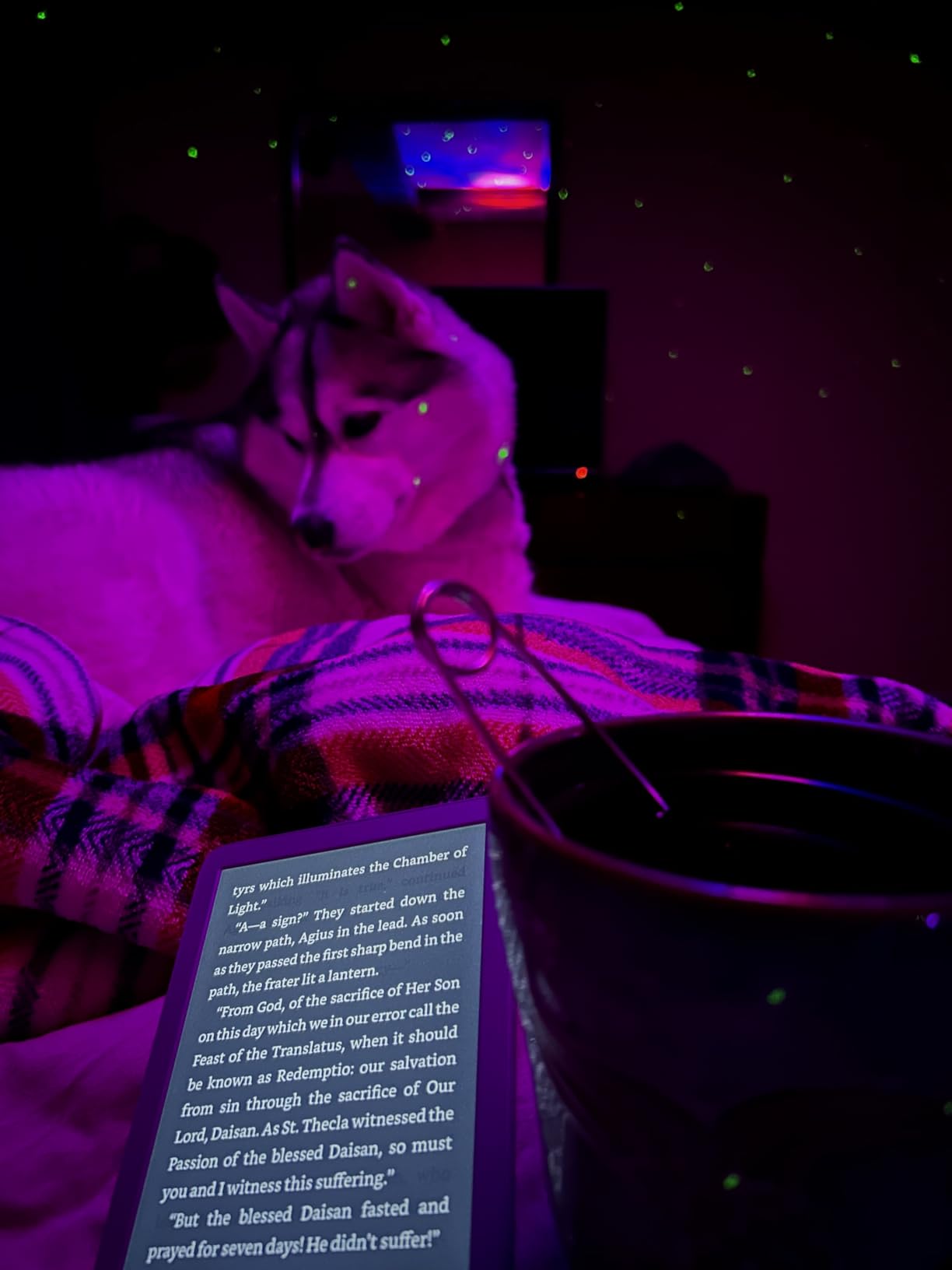 Amazon Kindle 16 GB (newest model) - Lightest and most compact Kindle, now with faster page turns, and higher contrast ratio, for an enhanced reading experience - Matcha customer photo 1