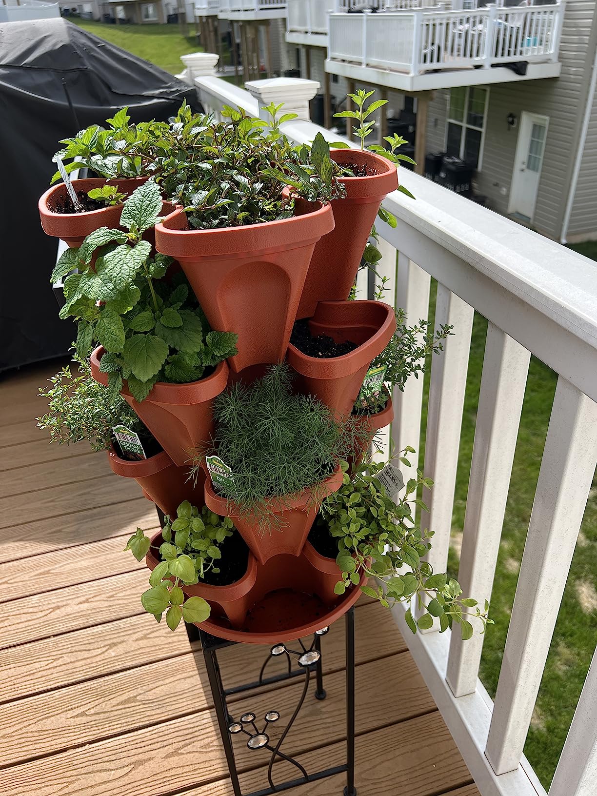 5 Tier Stackable Strawberry, Herb, Flower, and Vegetable Planter - Vertical Garden Indoor/Outdoor customer photo 1
