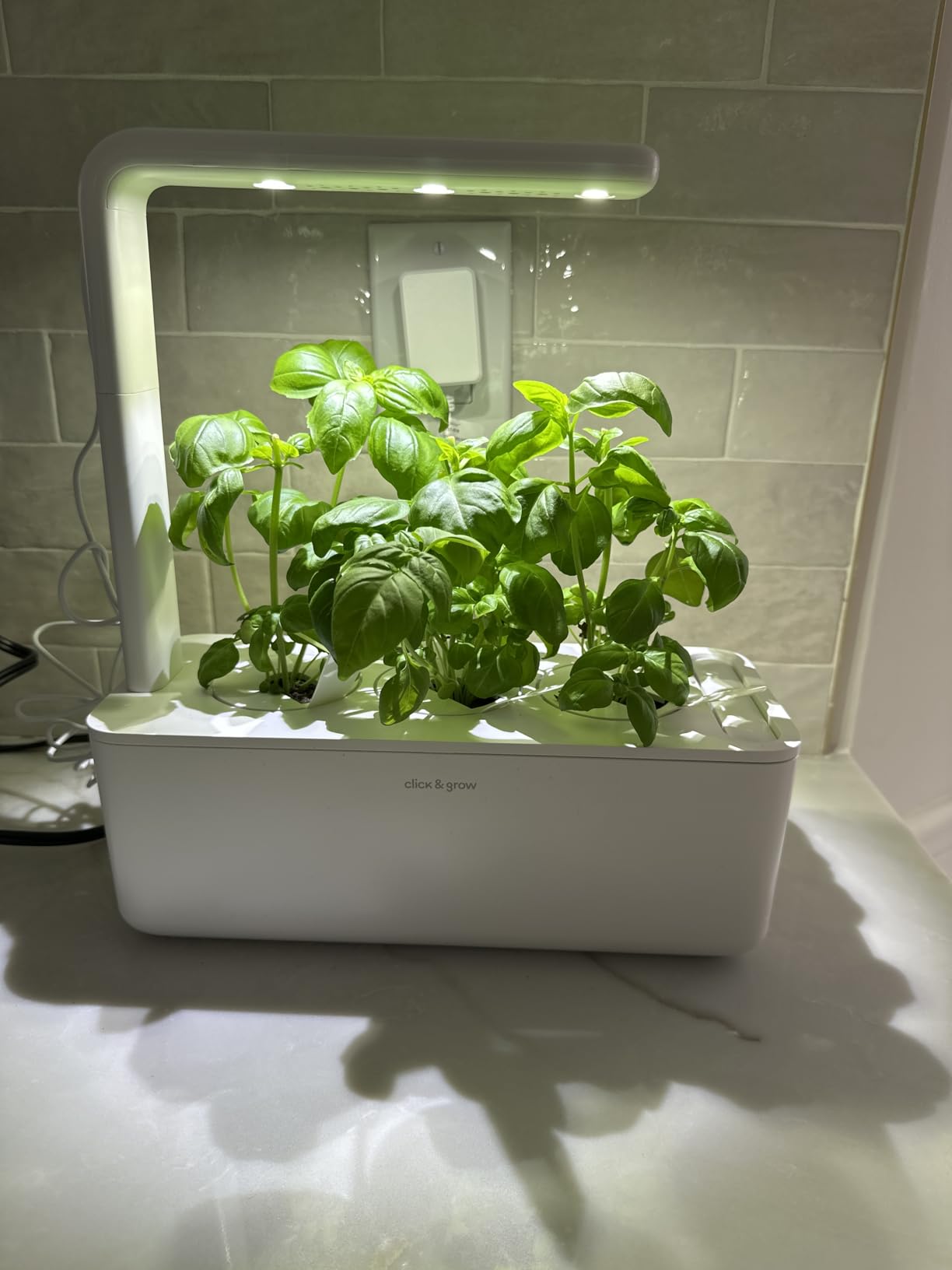 Click & Grow Indoor Herb Garden Kit with Grow Light | Smart Garden for Home Kitchen Windowsill | Easier Than Hydroponics Growing System | Vegetable Gardening Starter (3 Basil Pods Included), White customer photo 1
