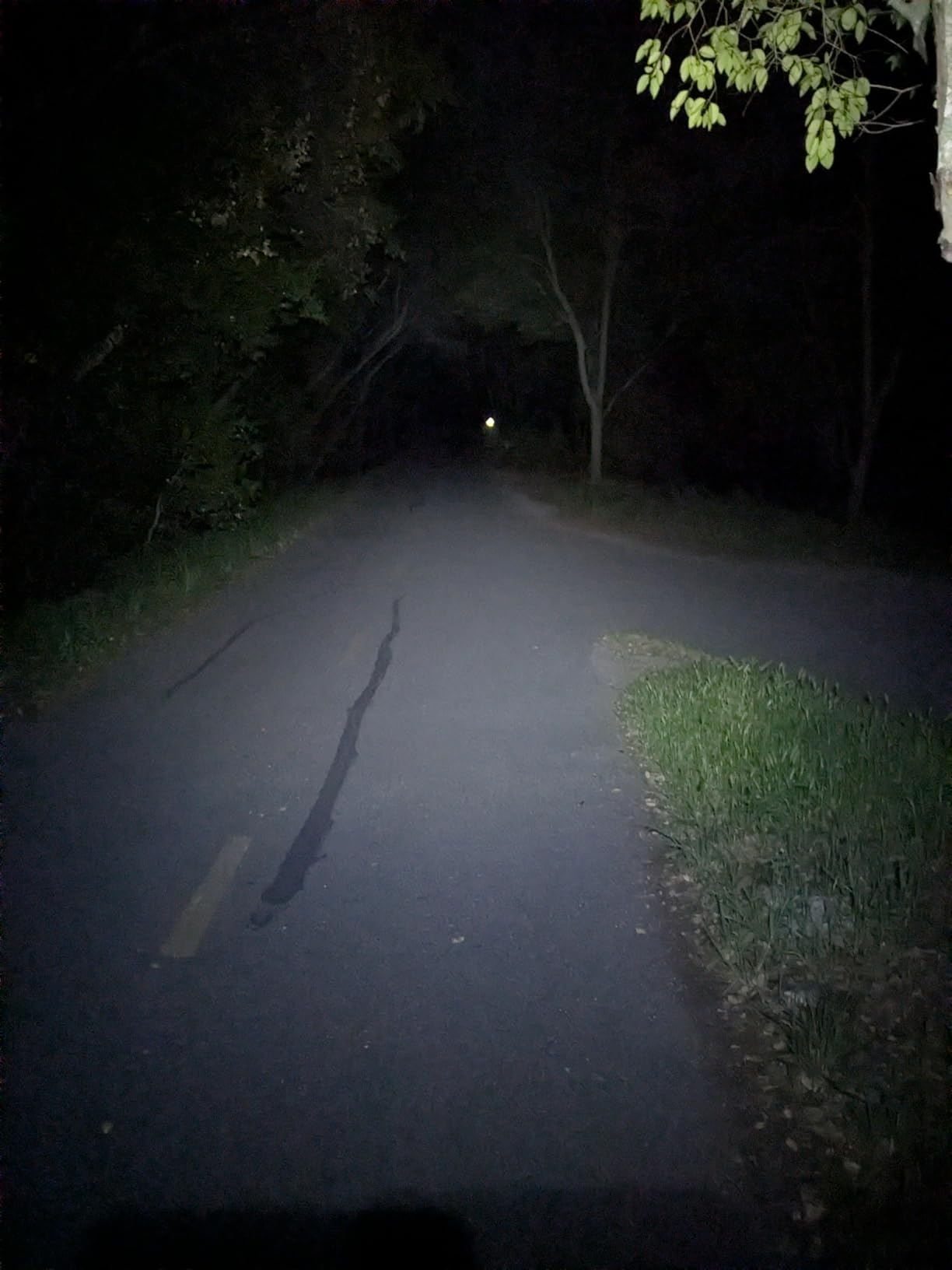 DanForce Headlamp. USB Rechargeable LED Head Lamp. Ultra Bright LUMINUS 1080 Lumen Headlamp Flashlight + Red Light. HeadLamps for Adults, Camping, Outdoors & Hard Hat Light. Zoomable IPX54 Headlight customer photo 1