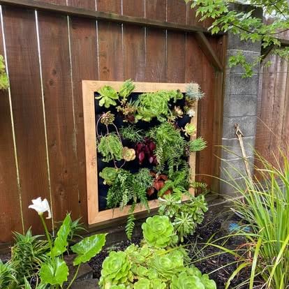 Ogrmar 36 Pockets Vertical Wall Garden Planter Plant Grow Bag for Flower Vegetable for Indoor/Outdoor (36 Pockets, Black) customer photo 1