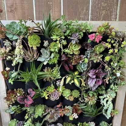 Ogrmar 36 Pockets Vertical Wall Garden Planter Plant Grow Bag for Flower Vegetable for Indoor/Outdoor (36 Pockets, Black) customer photo 2
