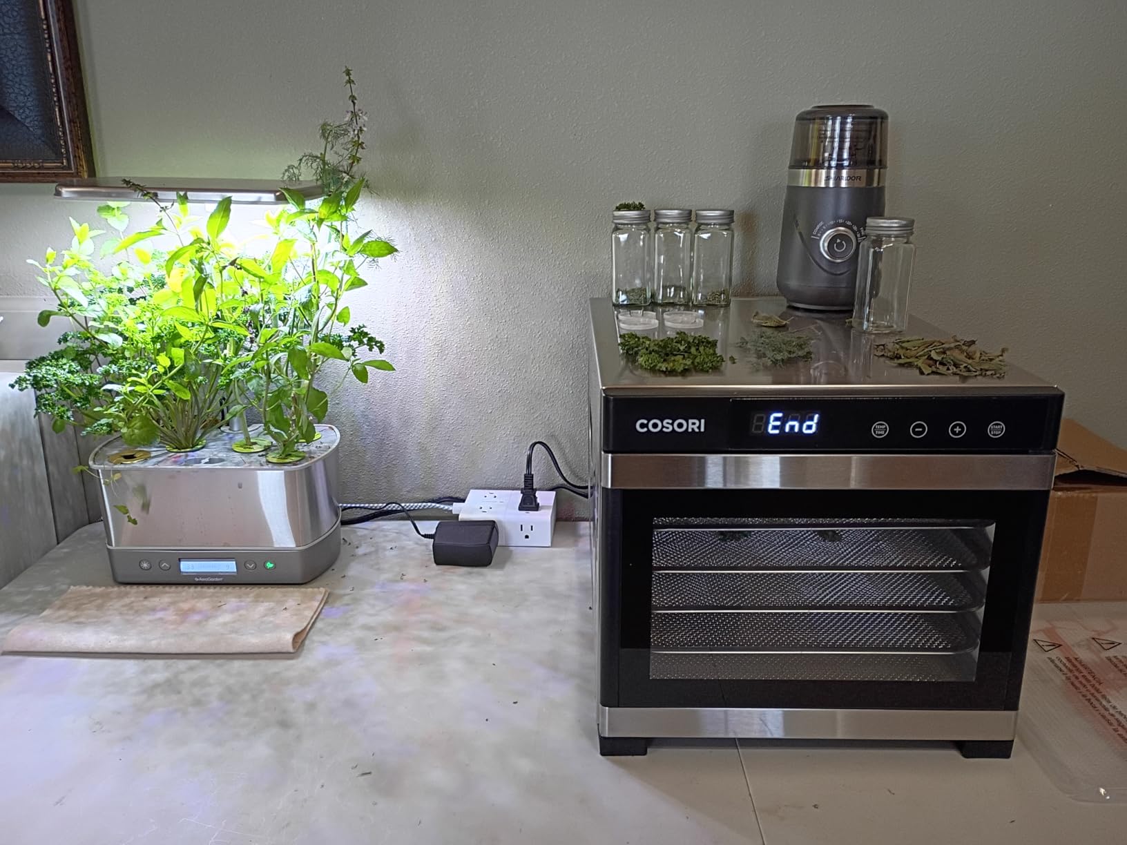 Cosori Food Dehydrator, Bigger Than 7 Trays with Large 6.5 ft² Drying Space | 95-165°F Precision Control, 600W Faster Drying, Horizontal Airflow, Quiet Operation under 48 dB, 48H Timer, Stainless Steel customer photo 2