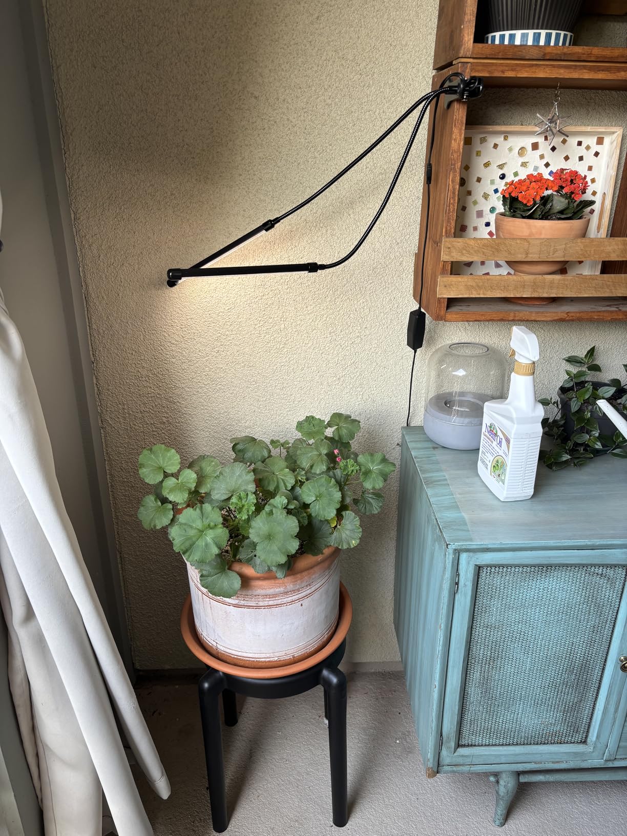 GooingTop Grow Light,6000K Full Spectrum Indoor Plant Growing Lamp customer photo 2