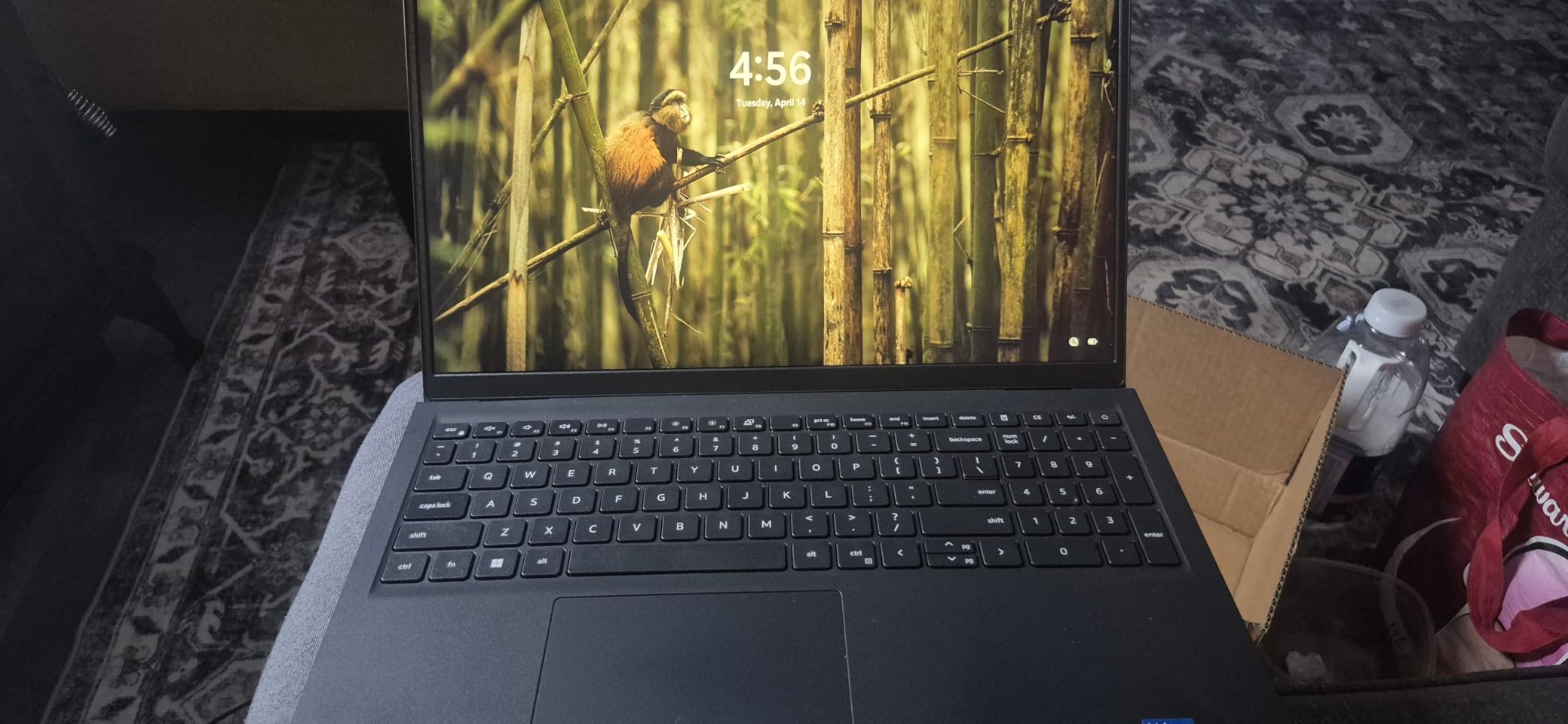 Dell Inspiron 15 Touchscreen Laptop for 2025-2026 Business, 15.6
