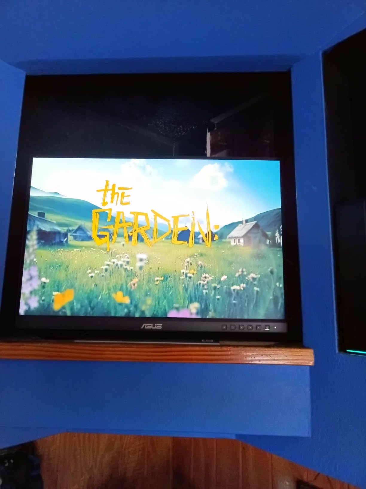 ASUS ProArt Display PA248QV 24