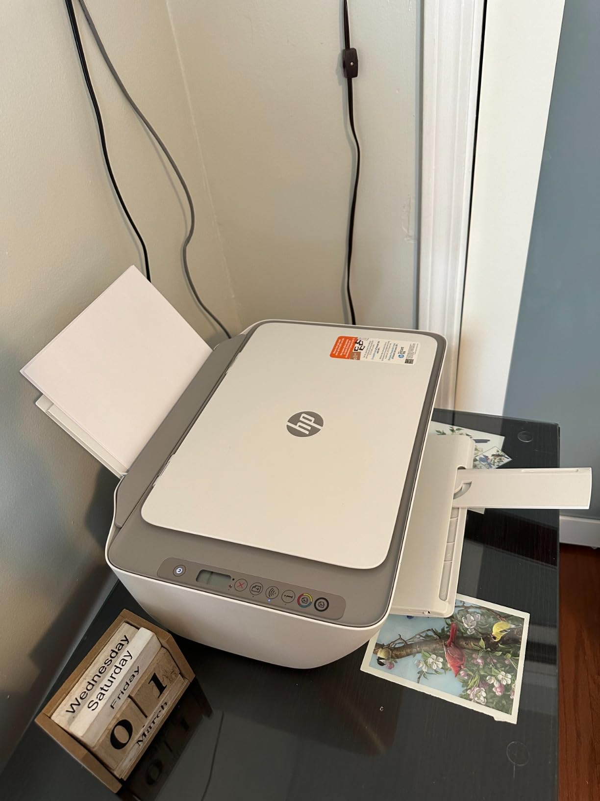 HP DeskJet 2755e Wireless Color inkjet-printer, Print, scan, copy, Easy setup, Mobile printing, Best-for home, 6 month Instant Ink trial included, white customer photo 2