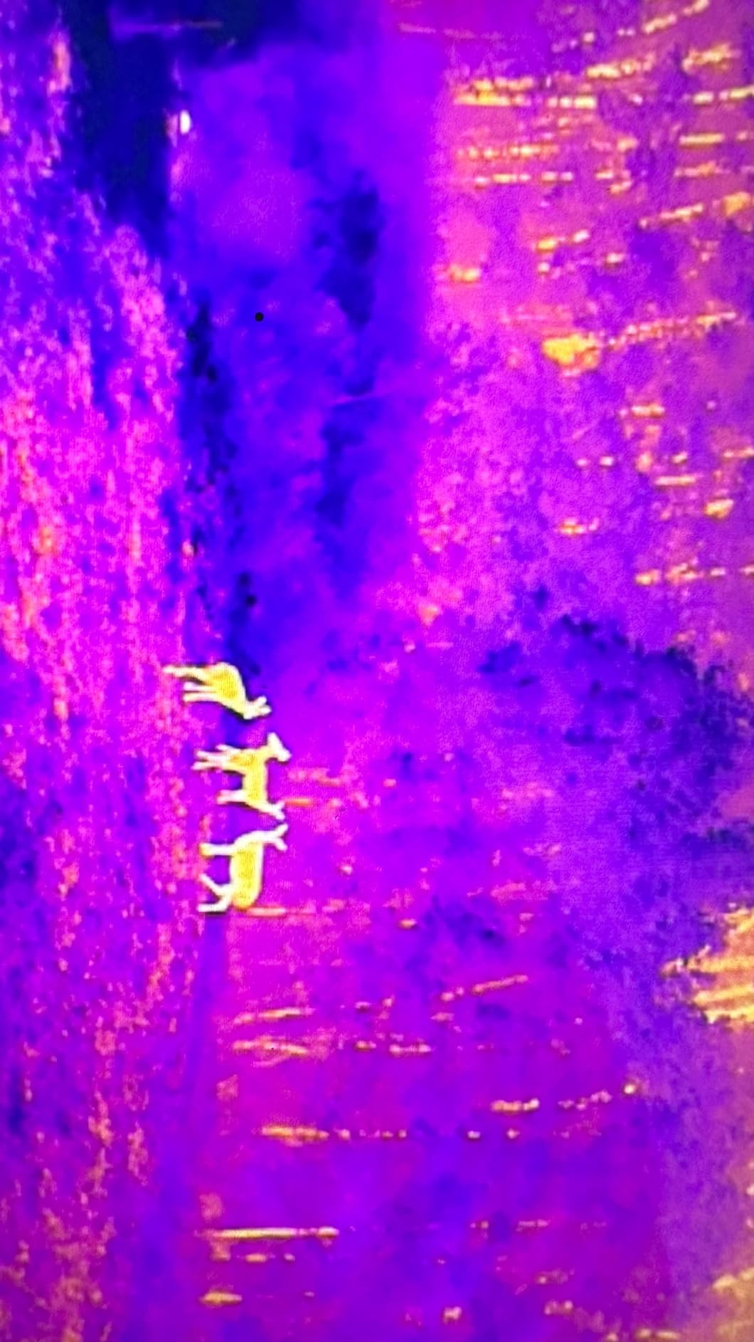 Autel Robotics EVO II Dual 640T V3, 640x512 Thermal Imaging Drone, Remote ID Supported, 0.8'' CMOS & 50MP 8K RYYB Sensor, 10+ Temp Measurement, D-RI Ranges, Thermal Analysis Tool, for Search & Rescue/Power Inspection/Public Safety/Hunting customer photo 2