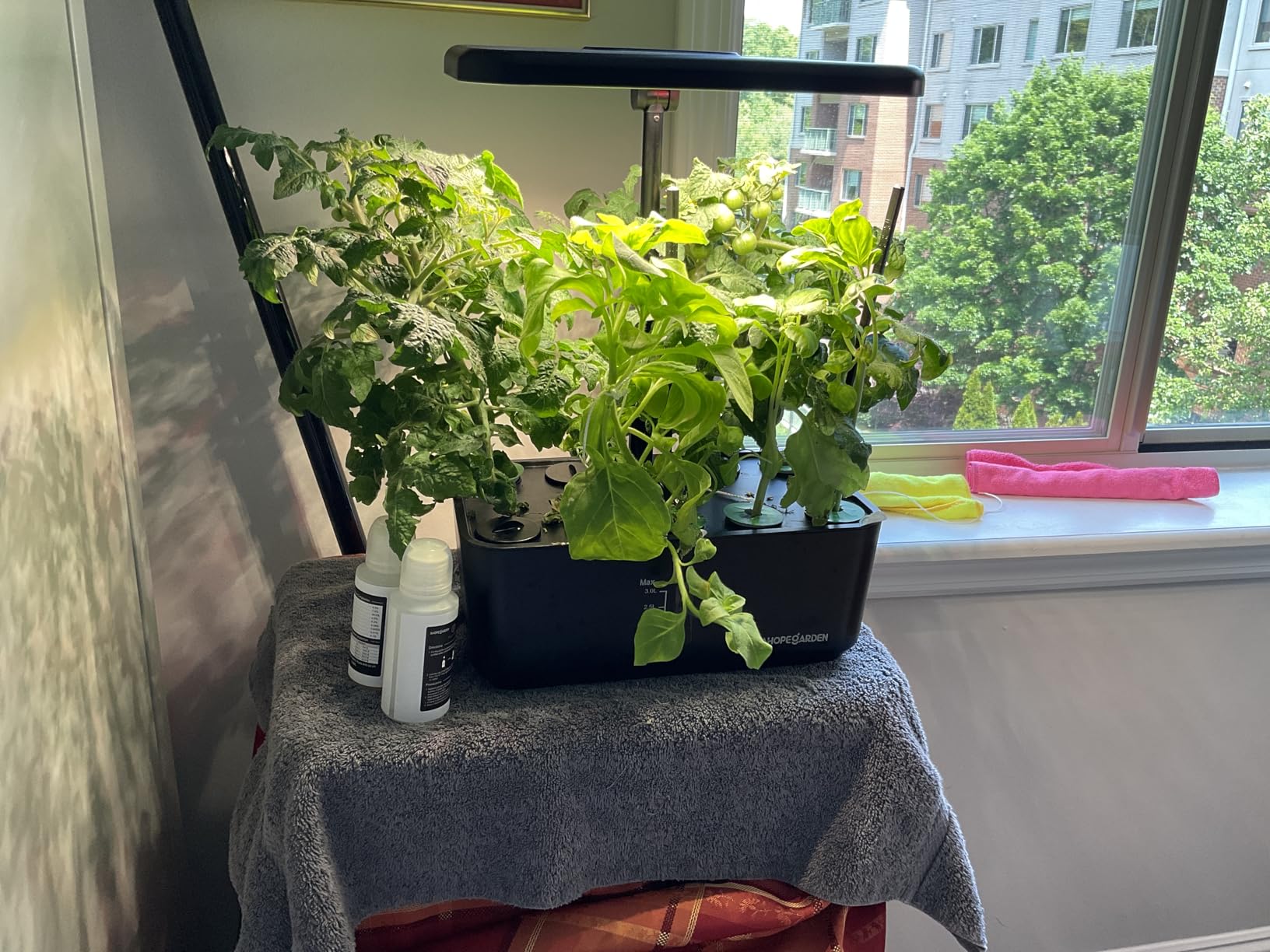 Ahopegarden Indoor Garden Hydroponics Growing System: 10 Pods Plant Germination Kit Herb Vegetable Growth Lamp Countertop with LED Grow Light - Hydrophonic Planter Grower Harvest Lettuce customer photo 2