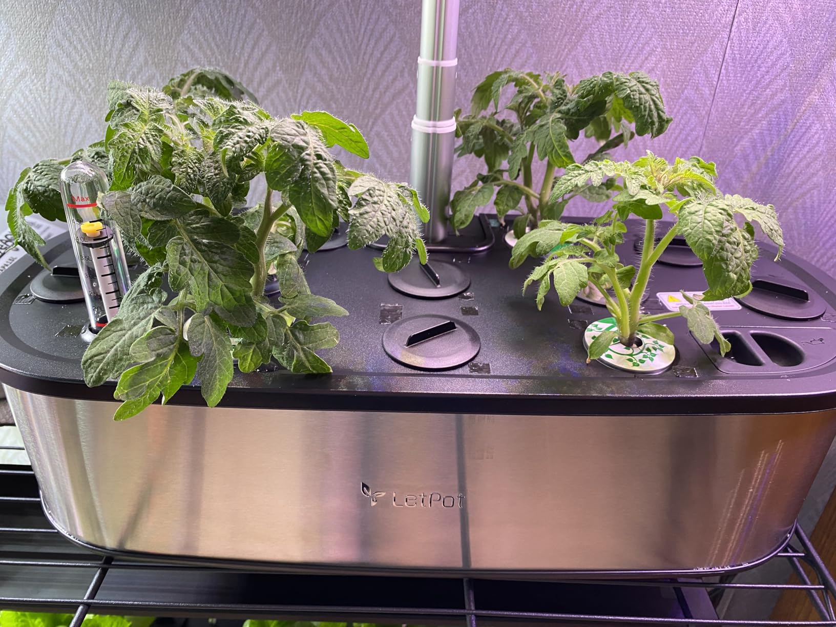 LETPOT LPH-SE Hydroponics Growing System, 12 Pods Smart Herb Garden Kit Indoor, Indoor Garden, APP & WiFi Controlled, with 24W Growing LED, 5.5L Water Tank, Pump System, Automatic Timer customer photo 1