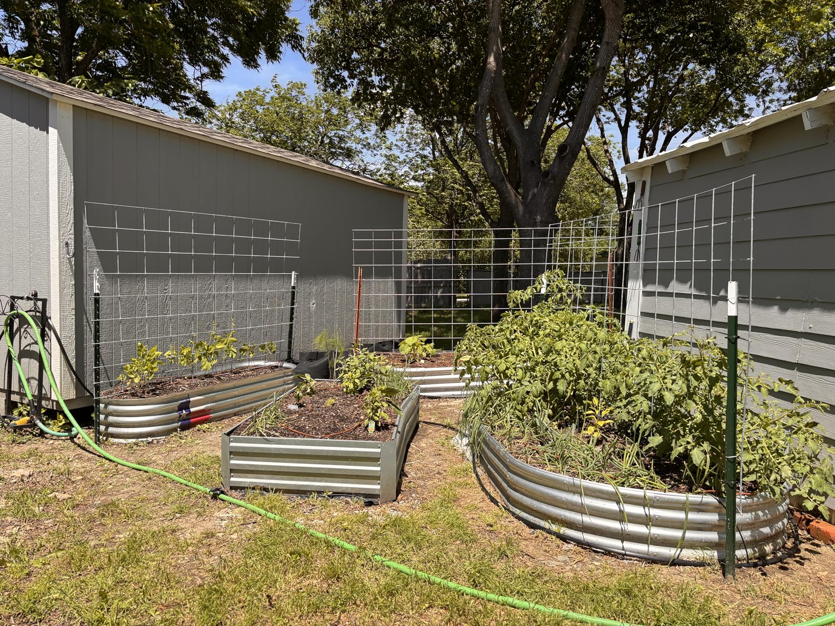 Utopia Home Galvanized Raised Garden Bed Kit 4x2x1ft, Planter Box Raised Garden Beds Outdoor, Easy Assembly Metal Raised Bed for Gardening Vegetables, Fruits, Flowers - Pack of 01 - Silver | Galvanized steel construction Rust resistant Easy assembly Vegetable and flower gardening customer photo 1