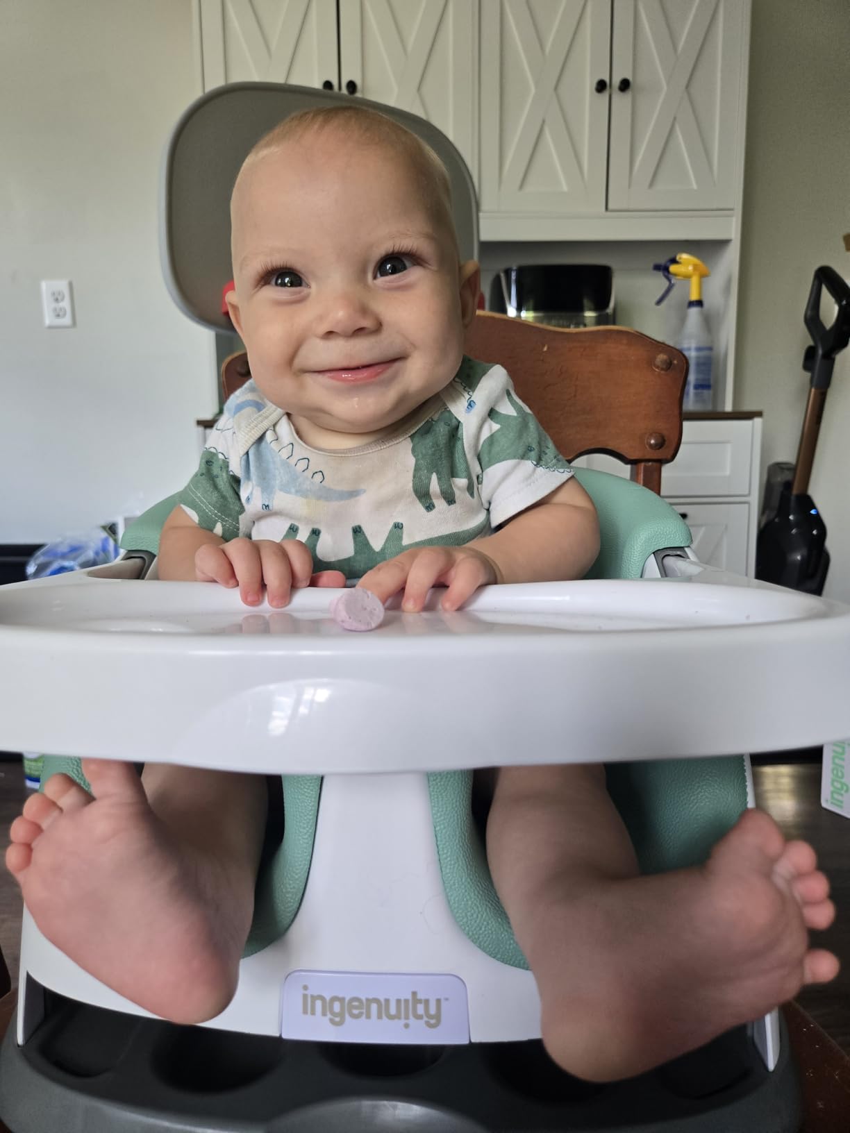 Ingenuity Baby Base 2-in-1 Booster Feeding and Floor Seat with Tray customer photo 1
