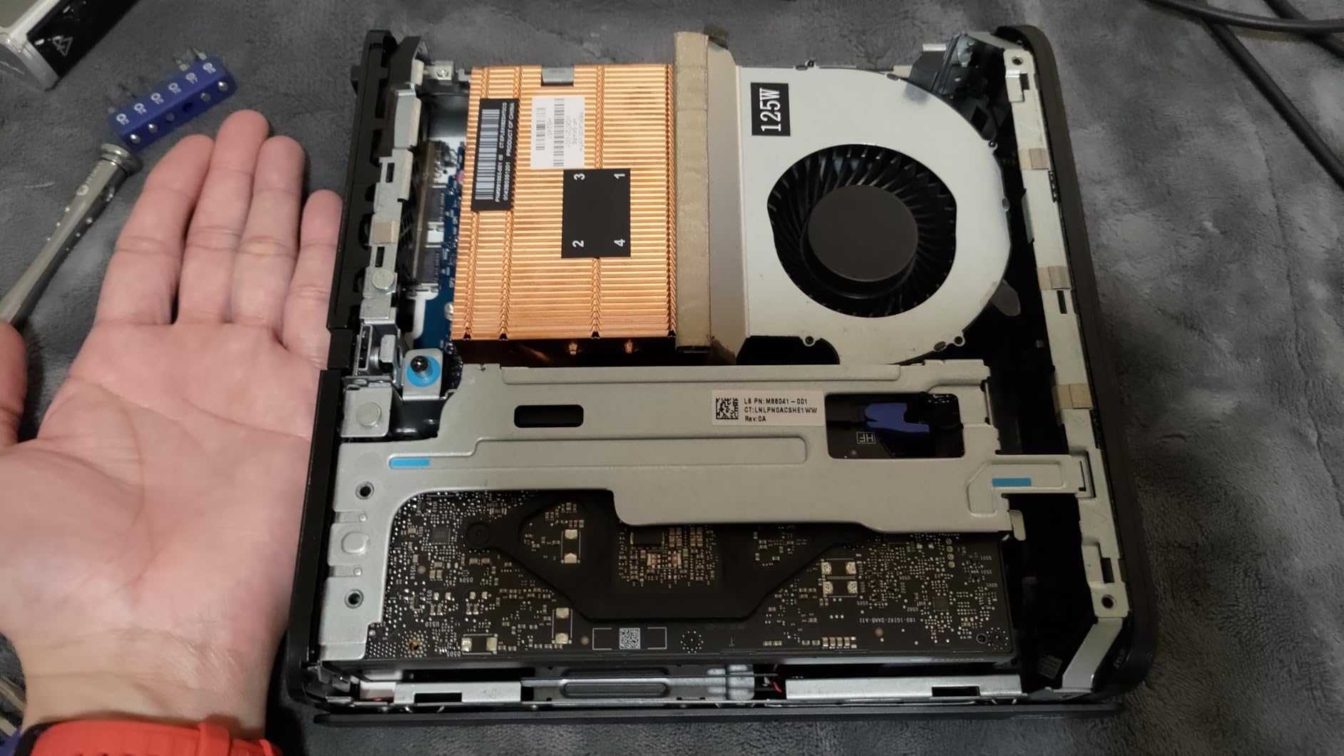 NVIDIA RTX A2000 - Graphics Card - RTX A2000-6 GB GDDR6 - PCIe 4.0 x16-4 x Mini DisplayPort customer photo 2