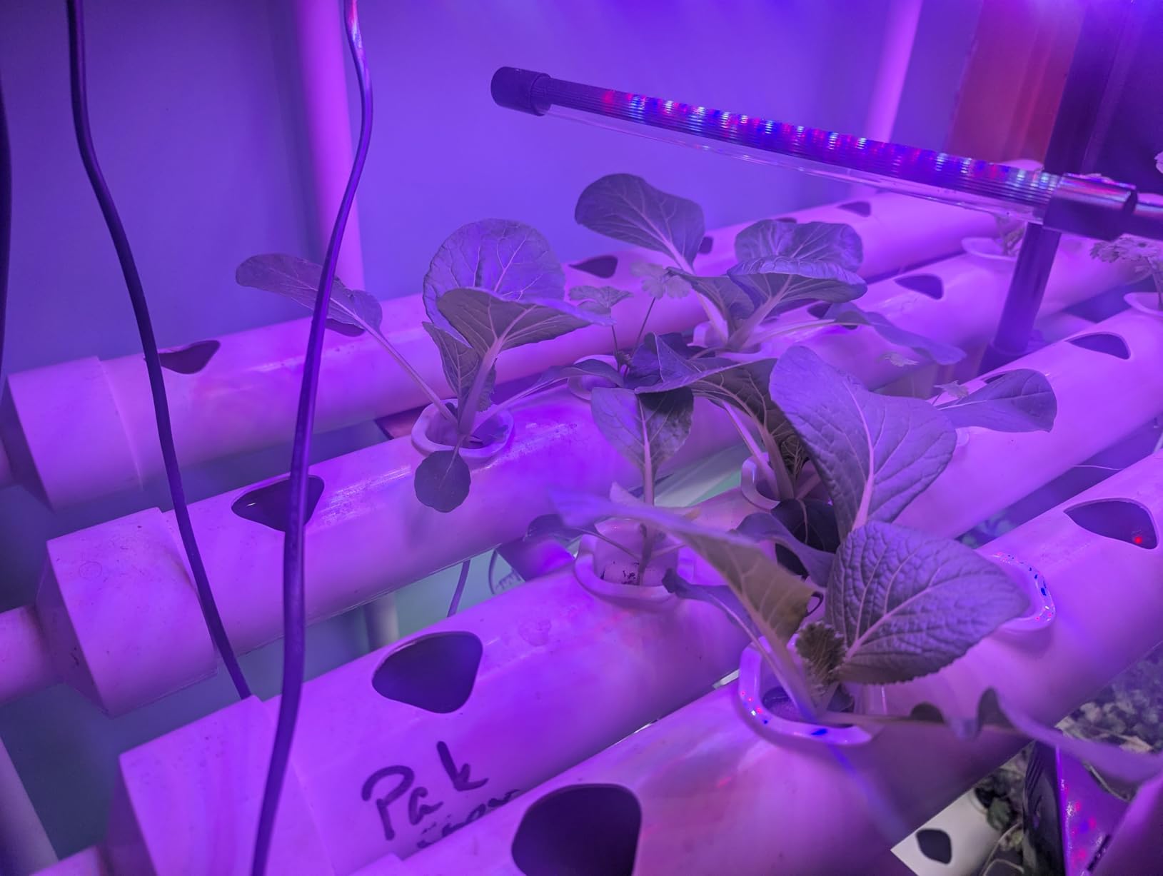 3-Tier 108 Plant Sites Hydroponics Growing System Kit customer photo 1