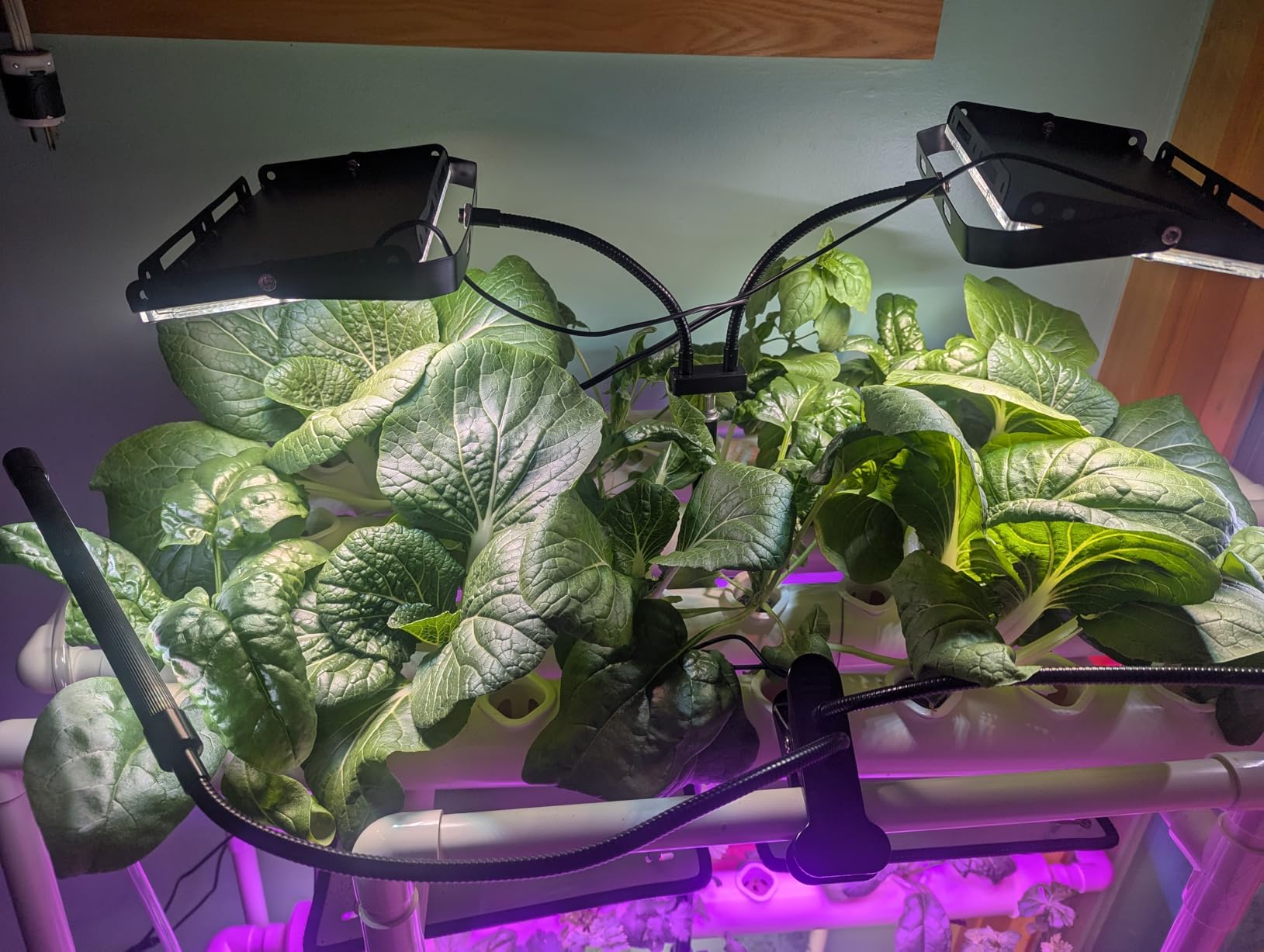 3-Tier 108 Plant Sites Hydroponics Growing System Kit customer photo 2