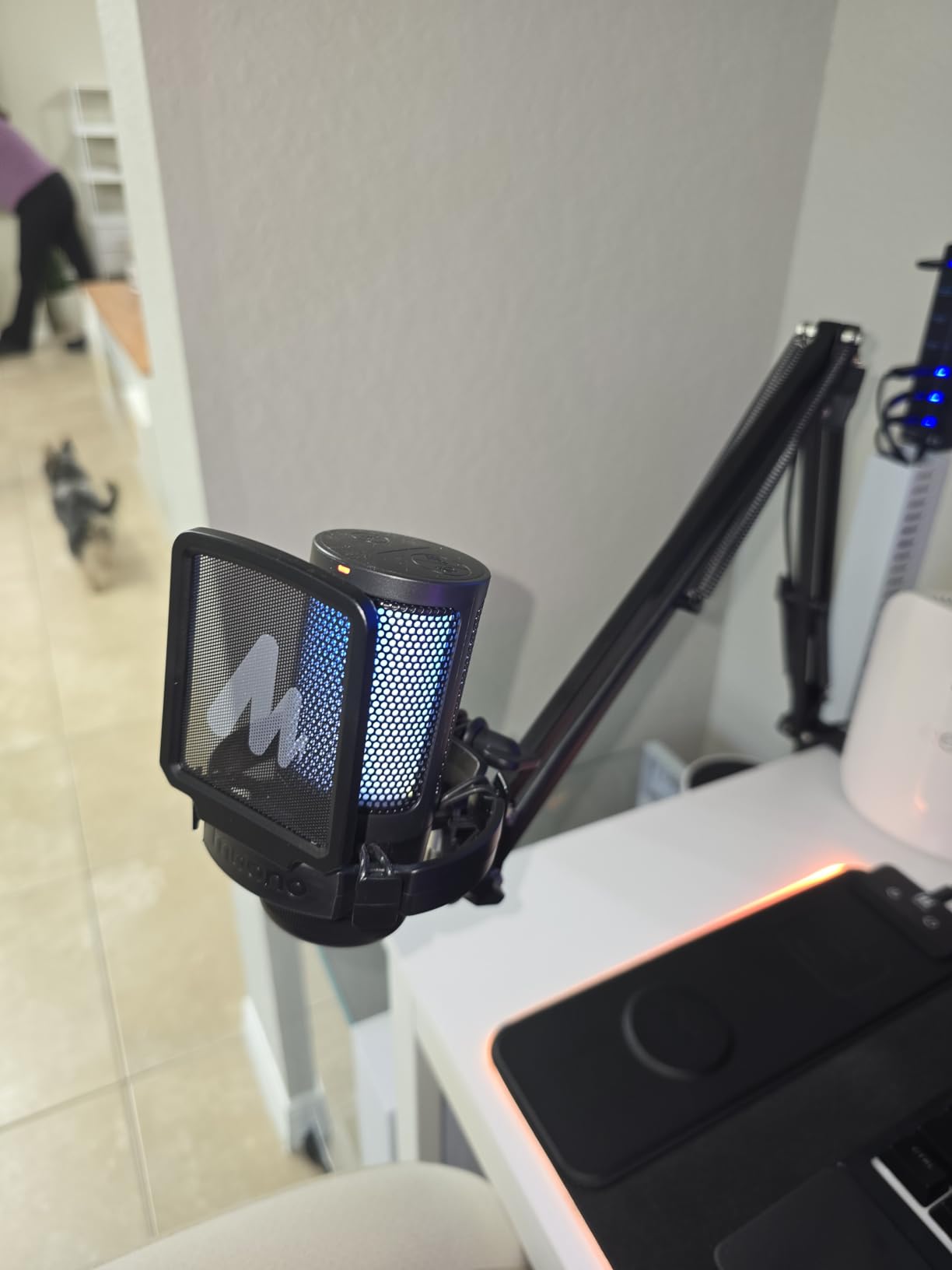 MAONO DGM20S Gaming Microphone for PC with Clear Voice & Noise Reduction customer photo 2