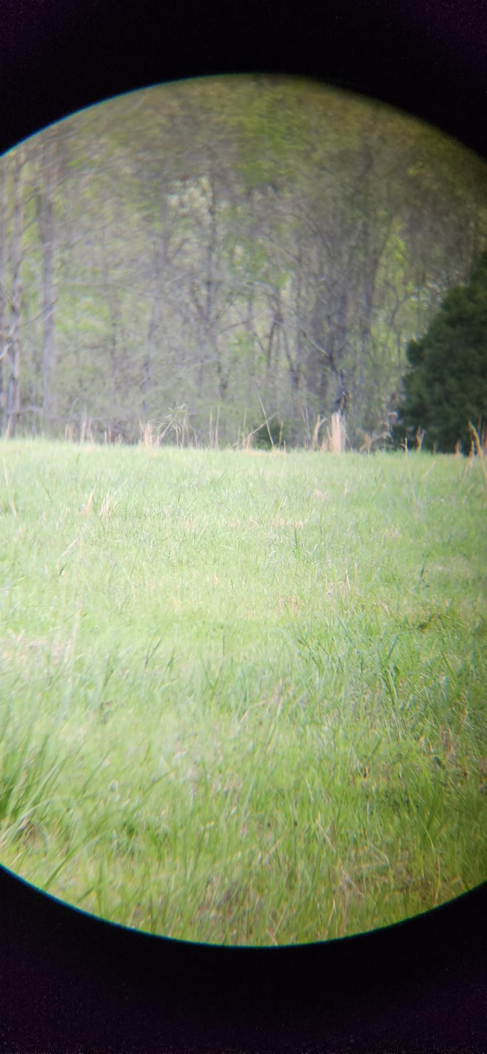 Vortex Triumph HD 10x42 Binoculars customer photo 2