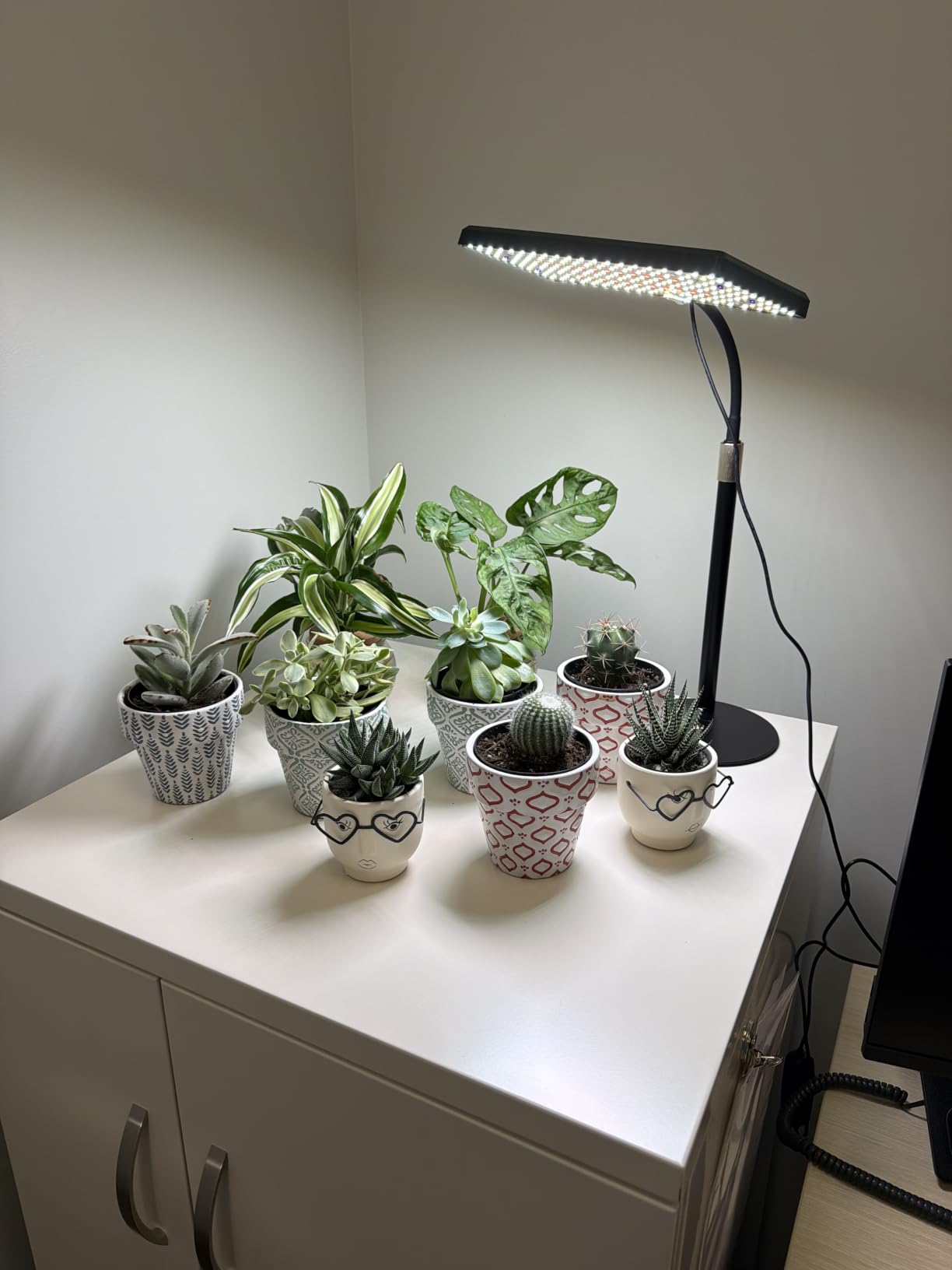 LBW Desk Grow Light, 214 LEDs Full Spectrum Plant Light for Indoor Plants customer photo 1