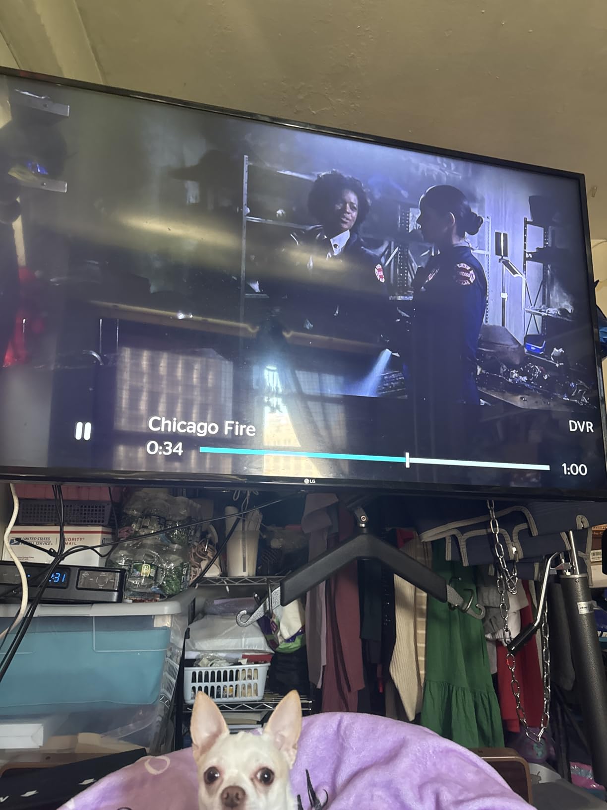 FPD 32-inch Smart TV Google TV HD 720p with Google Play and Google Cast Built-in, HDR 10, Dolby Audio, Voice Remote, Stream Live TV (Palette-Series, CG32-P3, 2024 Model) customer photo 1