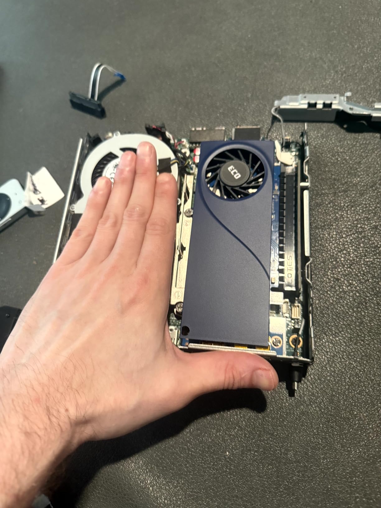 Sparkle Intel Arc A310 ECO 4GB GDDR6 Low Profile Graphics Card - 50W TBP, Single Slot, Single Fan, HDMI, Mini DisplayPort x2 (SA310C-4G) customer photo 1