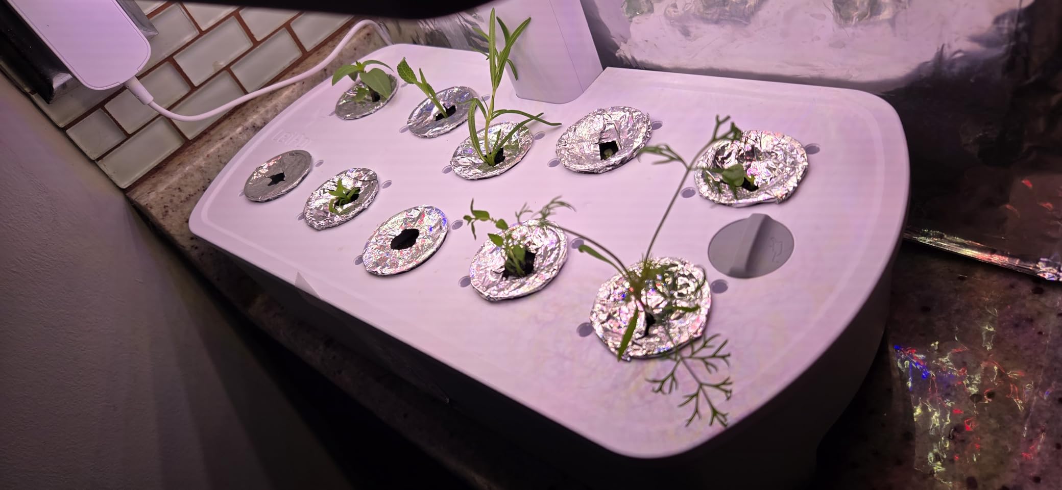 LetPot LPH-Air Hydroponics Growing System Kits, APP & WiFi Controlled Smart Indoor Garden with Adjustable 24W Grow Light Full Spectrum, 10 Pods Planter Indoor Gardening for Gifts, Kitchen, Vegetable customer photo 1
