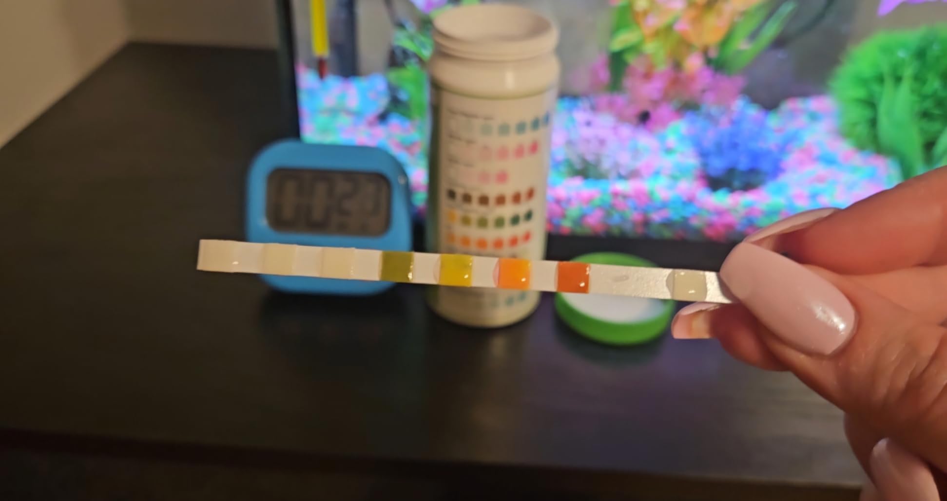 AAwipes Aquarium Ammonia Test Strips 8-in-1 | 100 Strips | Quick & Accurate Water Testing for Freshwater & Saltwater Tanks customer photo 2