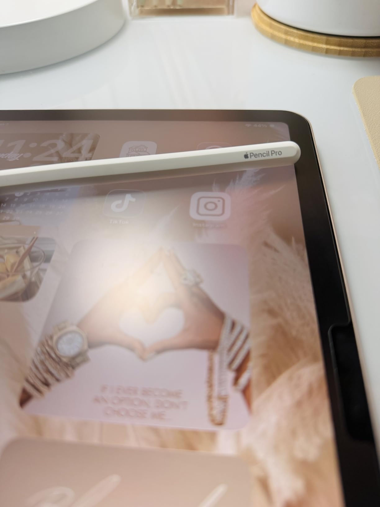Apple Pencil Pro: Latest Model - Pixel-Perfect Precision, Tilt and Pressure Sensitivity, Haptic Feedback, Barrel Roll and Squeeze Gesture customer photo 1