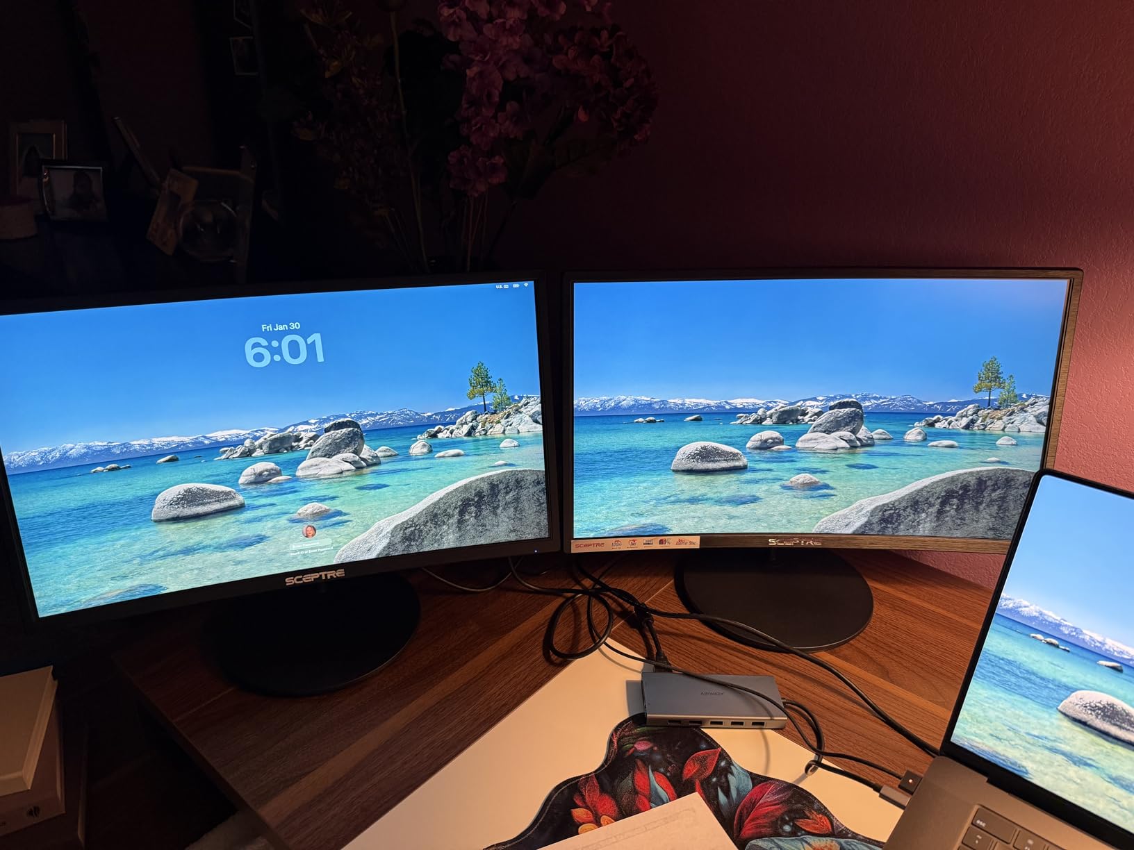 Kado 2-Pack Dual 24