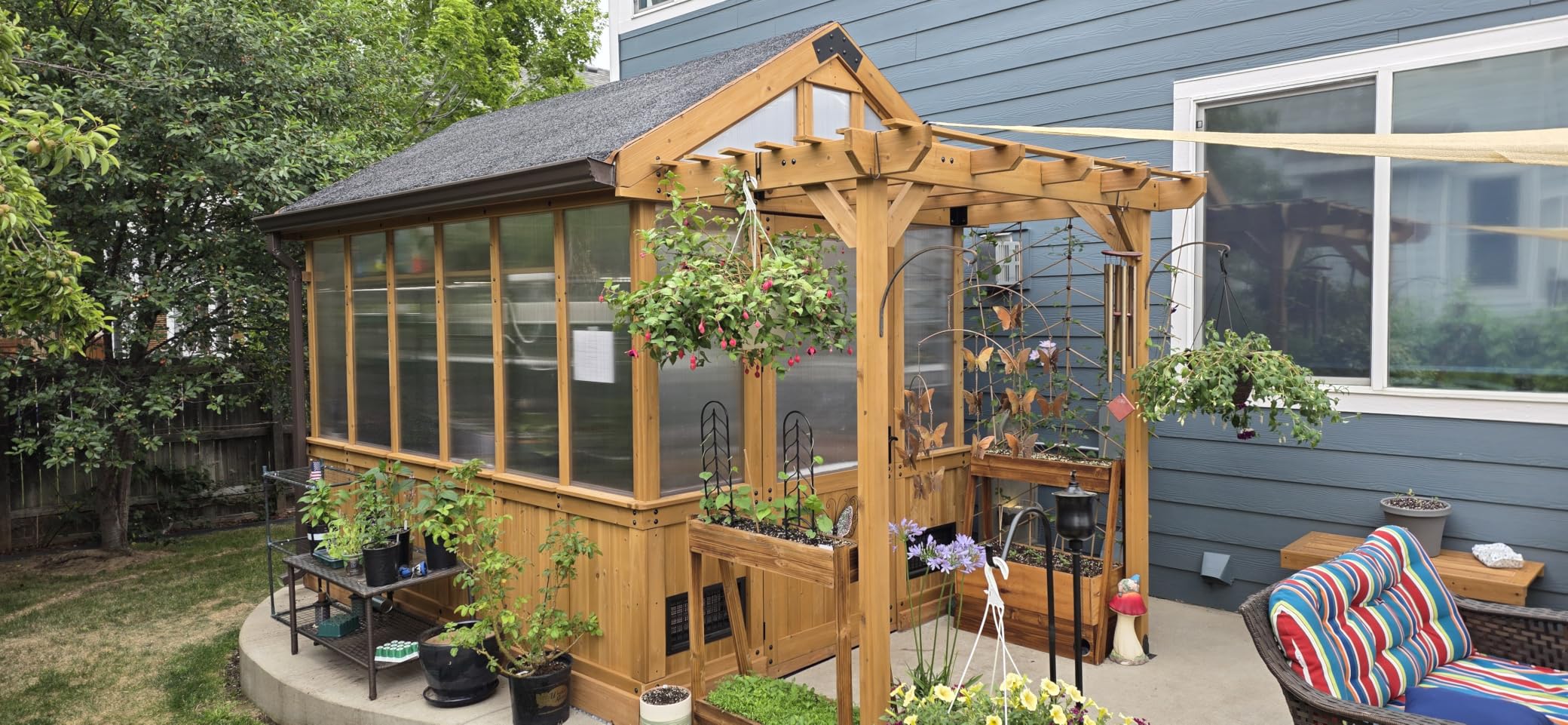 Backyard Discovery Bellerose 9' x 6' Cedar Wood and Polycarbonate Walk-in Greenhouse Kit with Pergola, Exhaust Fan, Windows, Hose Hook-Ups, PowerPort, Staging Shelves for Year-Round Outdoor Gardening customer photo 1