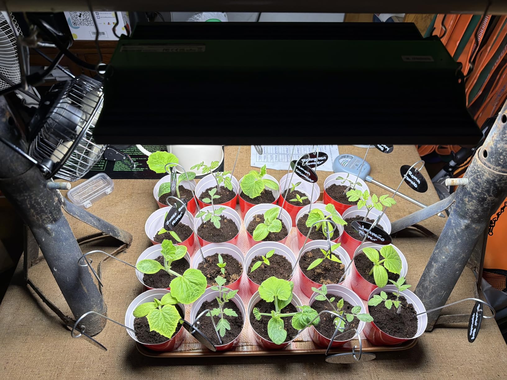 70 Watt Grow Light, Dimmable Plant Light, LED Grow Lights for Indoor Plants customer photo 1