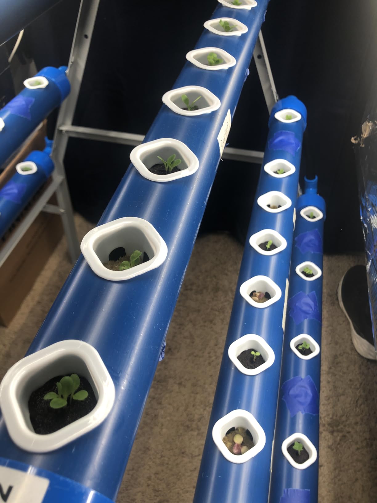 A-Type 72 Plant Sites Hydroponics Growing System Kit with Light Blocking customer photo 2