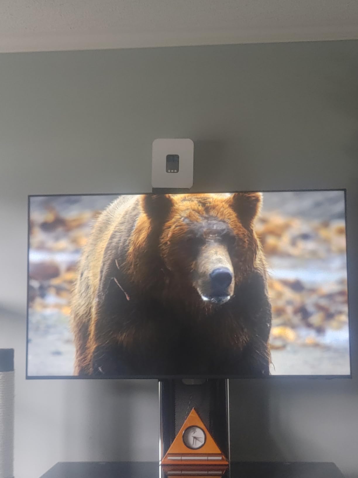 Samsung 50-Inch Class Crystal UHD U8000F 4K Smart TV (2025 Model) Endless Free Content, Processor, MetalStream Design, Knox Security, Alexa Built-in customer photo 1