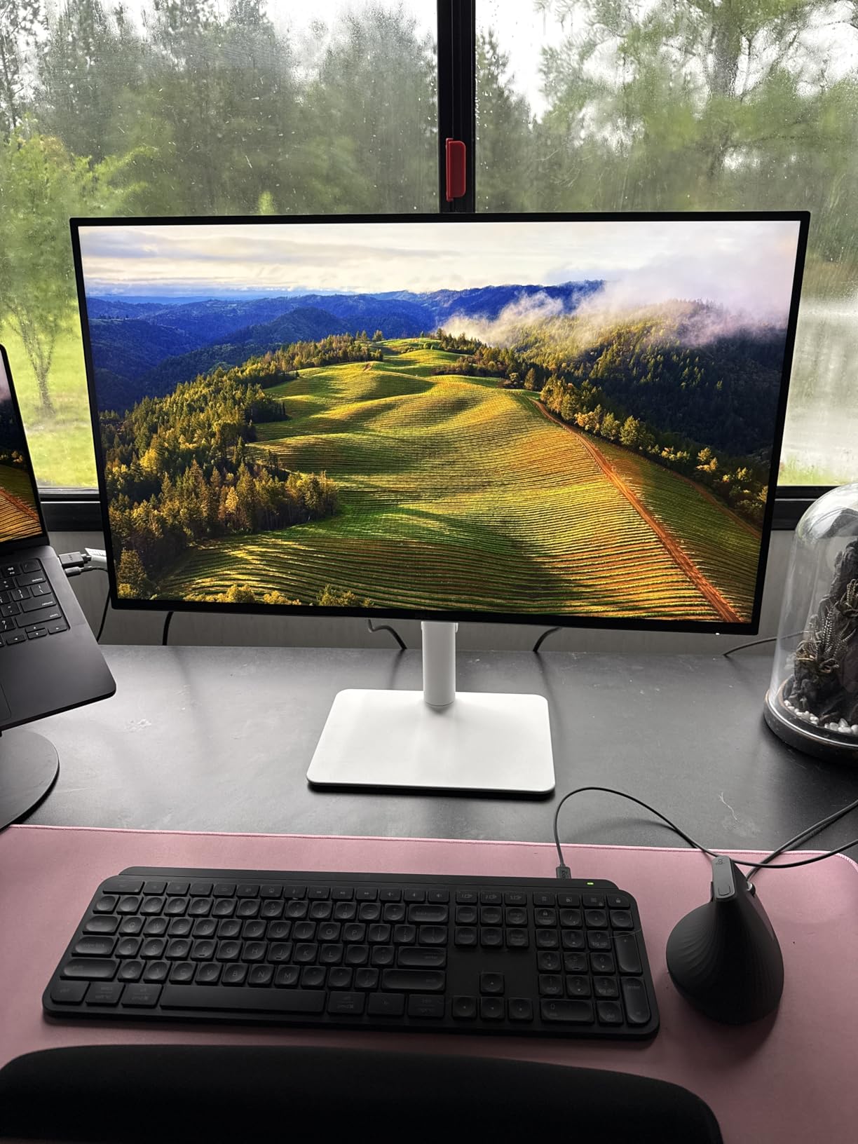 Dell 27 Plus 4K Monitor - S2725QS - 27-inch 4K (3840 x 2160) 120Hz 16:9 Display, IPS Panel, AMD FreeSync Premium, sRGB 99%, Integrated Speakers, 1500:1 Contrast Ratio, Comfortview - Ash White customer photo 1