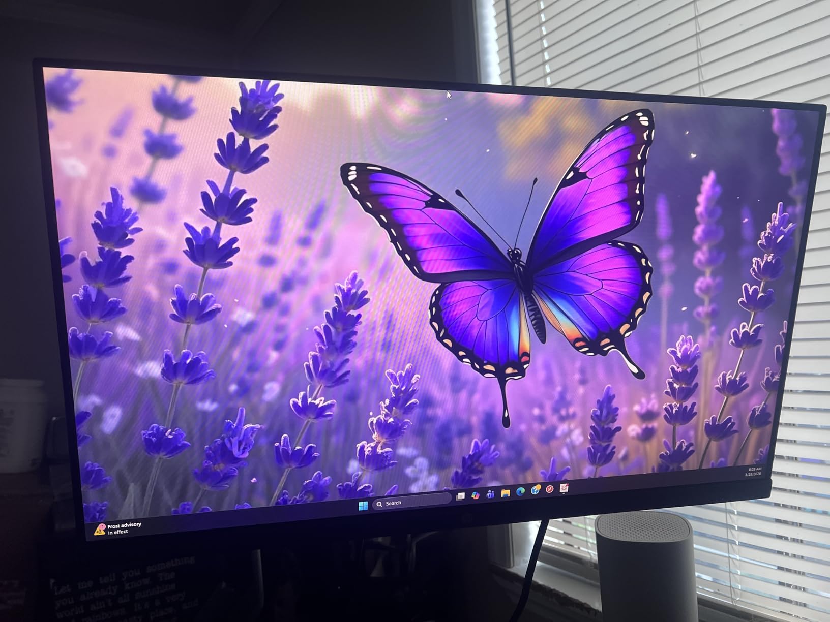 HP Series 3 27 inch FHD Monitor, Full HD Display (1920 x 1080), IPS Panel, 1300:1 Contrast Ratio, 250 Nits, Eye Ease with Eyesafe Certification, Black, 327se (2025) customer photo 1