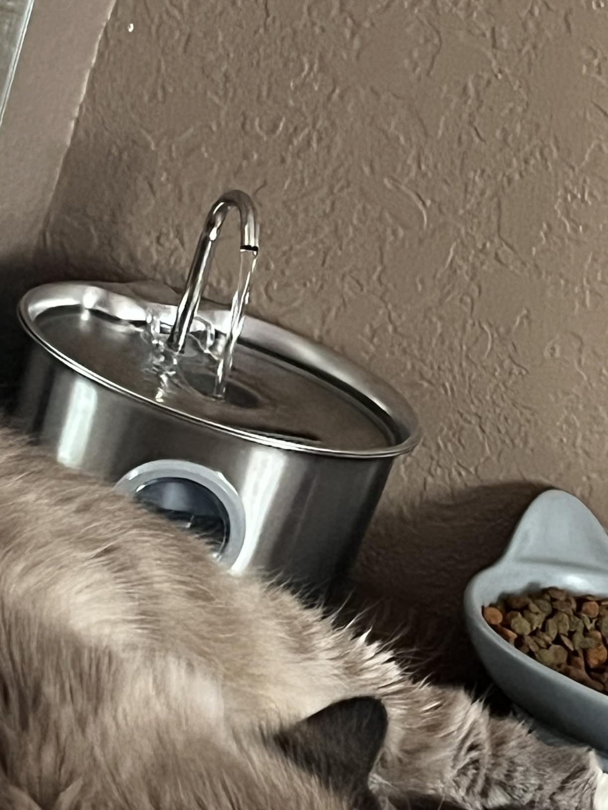 Cat Water Fountain Stainless Steel: Cat Fountain for Drinking - 88oz/2.6L Pet Water Fountain for Cats Indoor - Quiet Cats Water Bowl Dispenser - Pets Feeding & Watering Supplies - for Small Animals customer photo 2