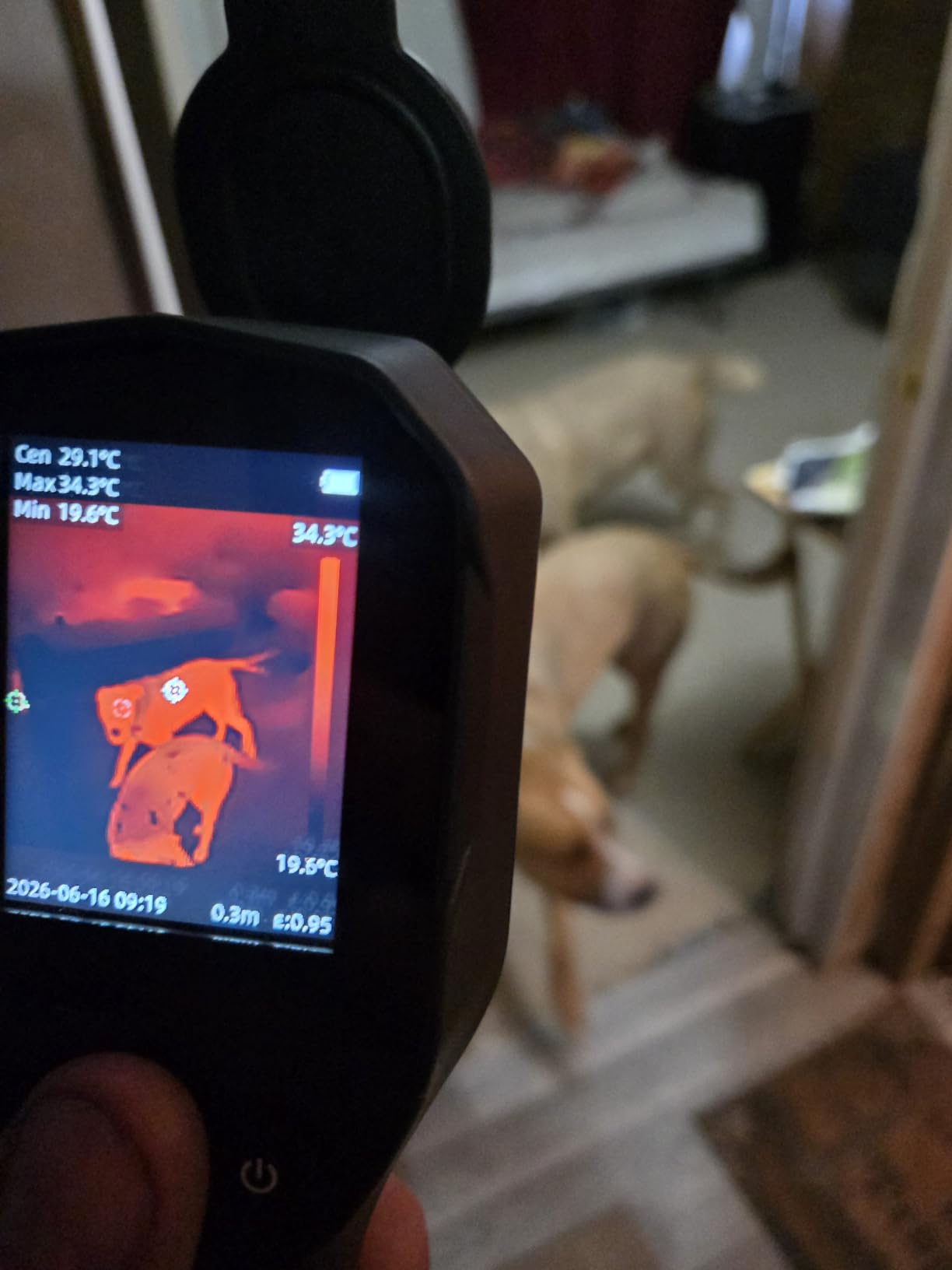 Thermal Camera, 240 x 240 TISR Resolution, -4°F to 1022°F Temp Range, 25Hz Infrared Camera with Temperature Alarm, 50°FOV Handheld Thermal Imaging Camera customer photo 1
