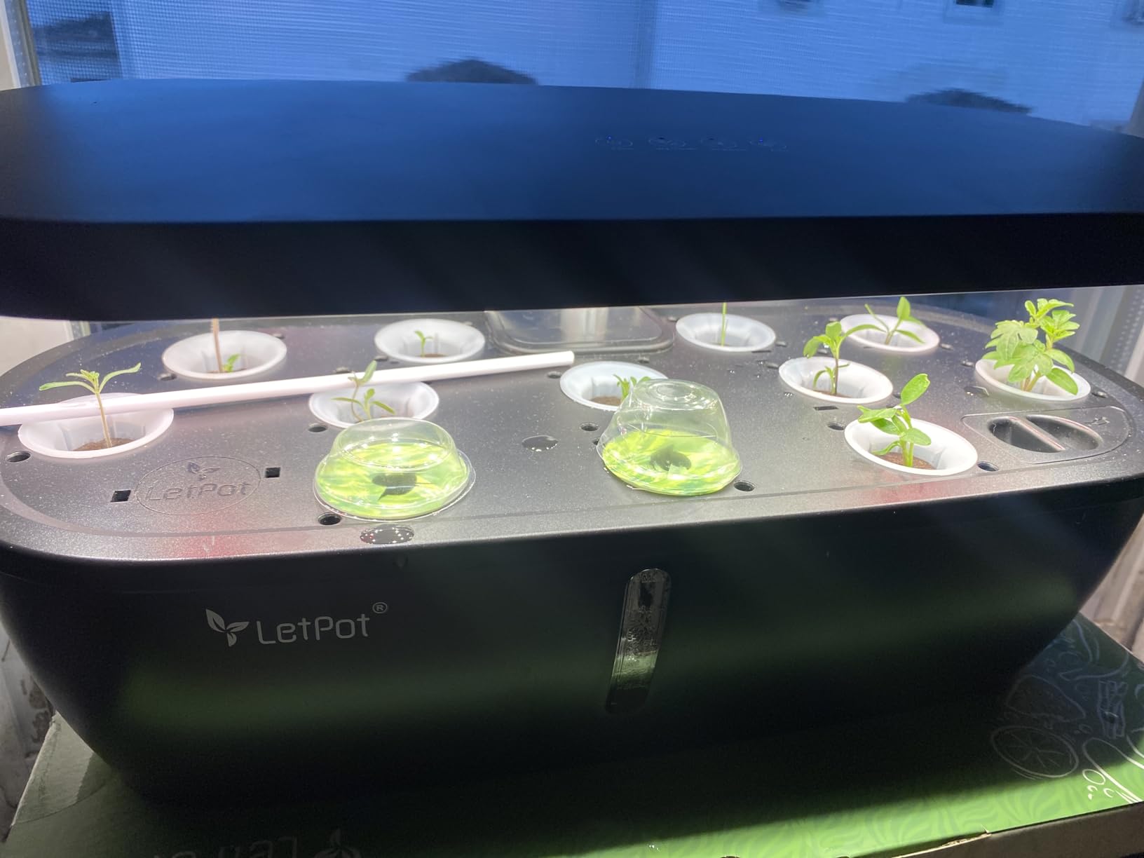 LETPOT Hydroponics Growing System, 12 Pods Indoor Herb Garden Kit with 24W LED Grow Light, 5.5L Water Tank & 16