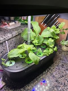 LETPOT Hydroponics Growing System, 12 Pods Indoor Herb Garden Kit with 24W LED Grow Light, 5.5L Water Tank & 16