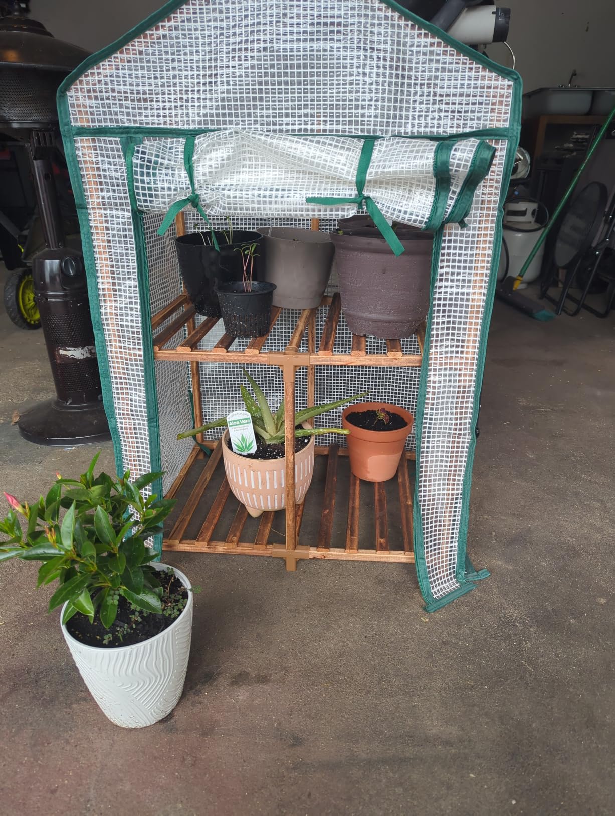 Bamworld Greenhouse for Outdoors Mini Greenhouse Indoor 3-Tier Plant Stand Portable Green Houses with PE Cover Durable 23 x 17 x 54-Inch Wood Frame Invernaderos para Plantas customer photo 1