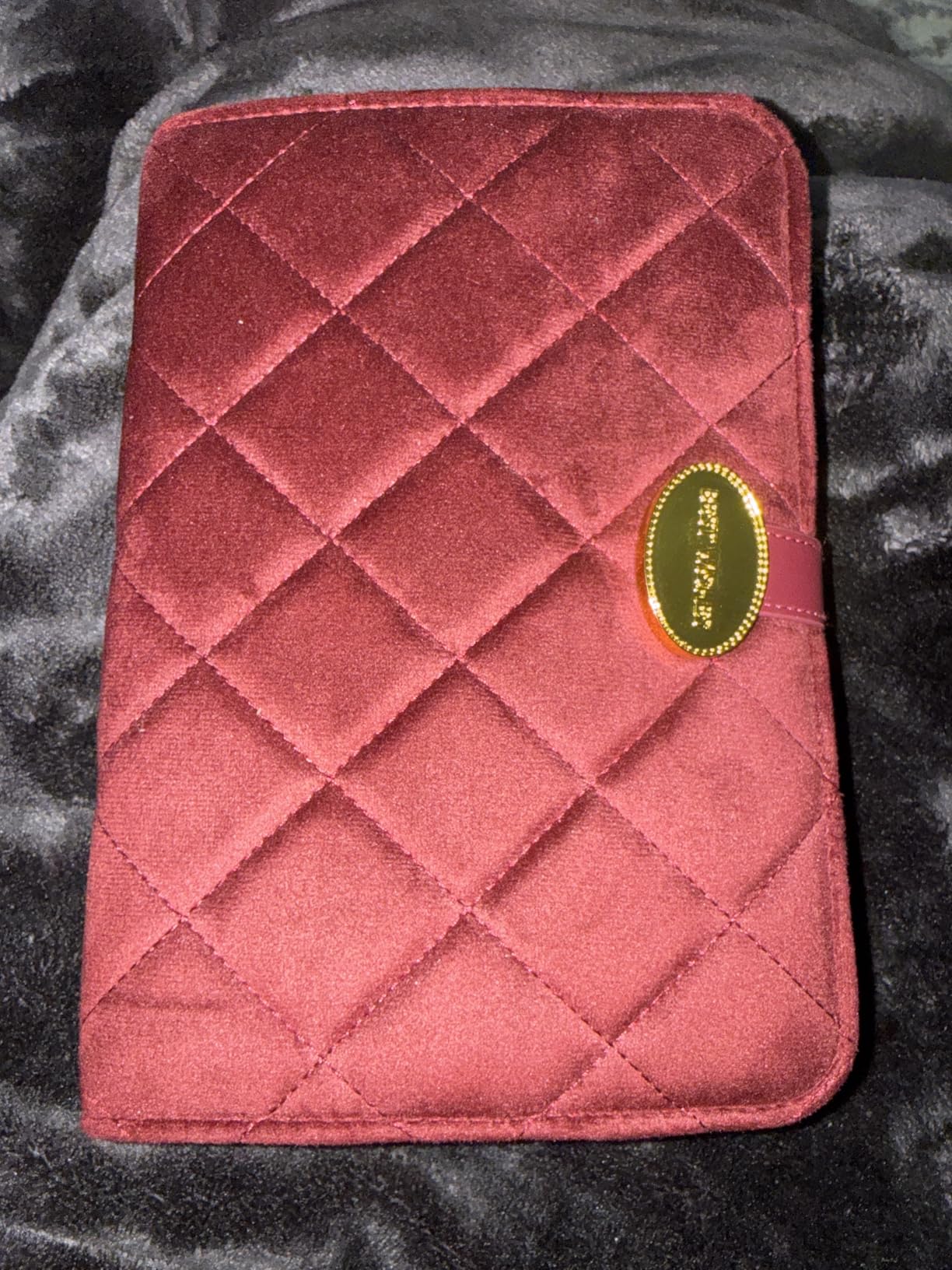 Travel Jewelry Organizer Case, Premium Full Velvet Exterior Leather Frame Portable Jewelry Storage Box, Anti-Tarnish Soft Velvet Lining for Women for Earrings Rings Necklaces, Gift for Wife Mom customer photo 1