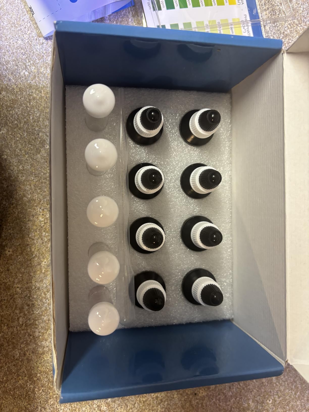 Pawfly 5 in 1 Aquarium Water Master Test Kit for pH Nitrite Nitrate Ammonia & Phosphate, Freshwater & Saltwater Fish Tanks customer photo 1