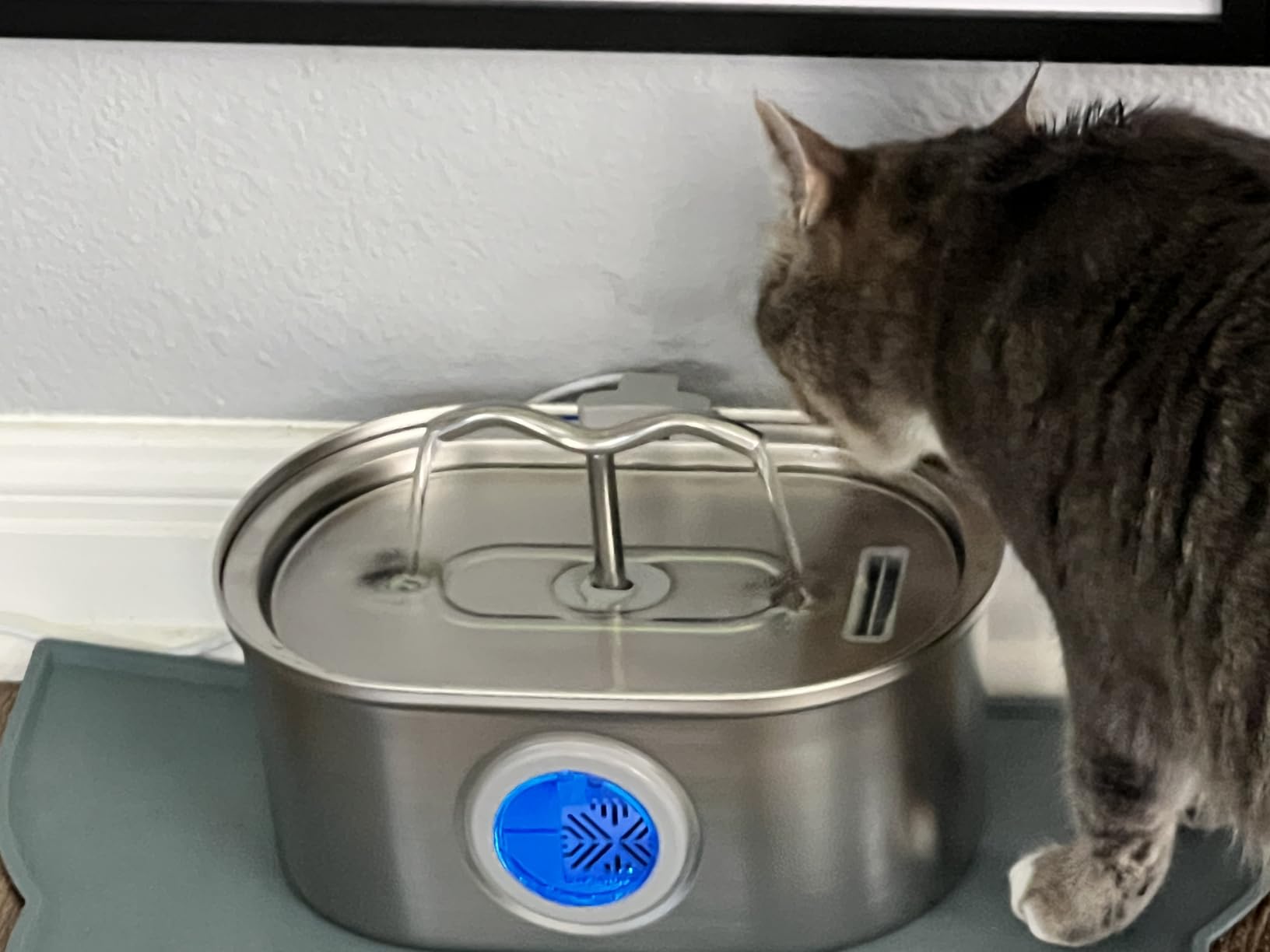 Stainless Steel Cat Water Fountain, 108oz/3.2L Pet Water Fountain for Cats Indoor, with Dual Spouts for Multiple Cats, Ultra-Quiet Automatic Dog Water Dispenser, 3 Replacement Filters Included customer photo 2