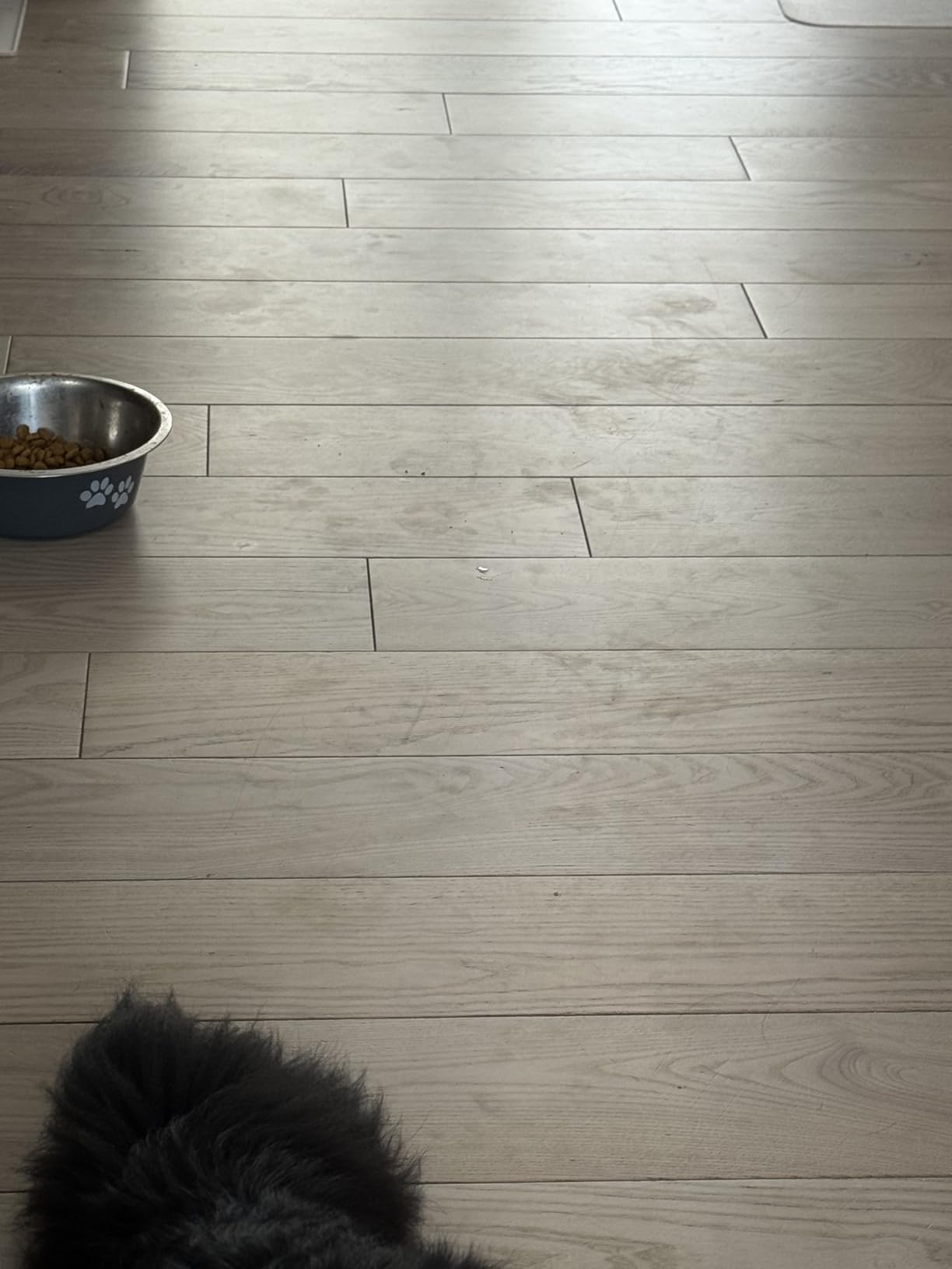 iRobot Roomba 705X Robot Vacuum & Mop Combo, 175x More Suction, Extending Self-Cleaning Roller Mop, Multifunction Dock, 75 Day Self-Emptying, Hot Wash/Dry, AI Obstacle Avoidance, Ideal for Pet Hair customer photo 1