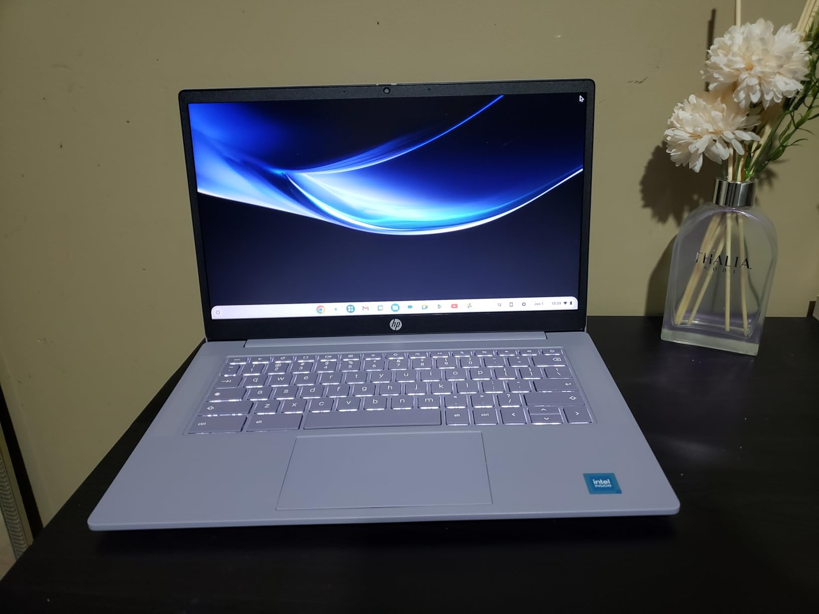 HP 17.3 inch Touchscreen Business Laptop, AMD Ryzen 5 7430U (6-Core), 20GB RAM, 1TB SSD, Large Anti-Glare Display, Backlit Keyboard, WiFi 6, Windows 11 Pro customer photo 1