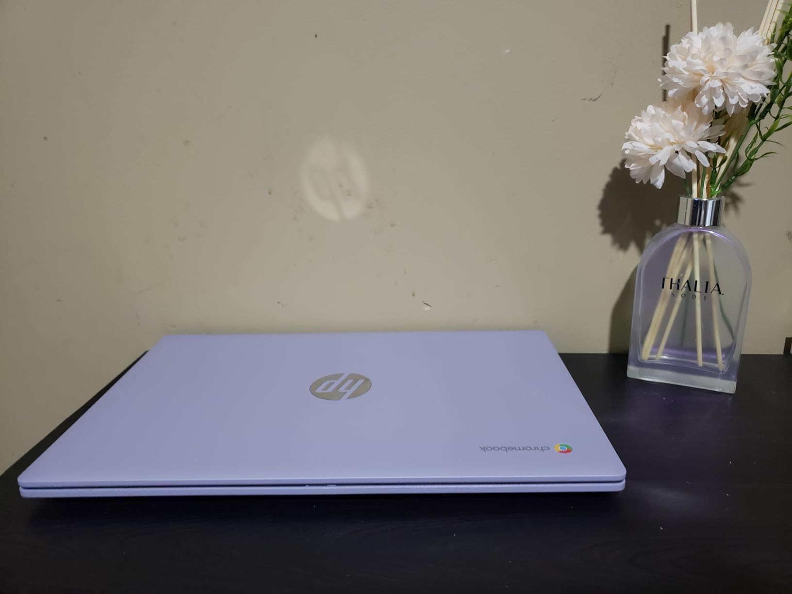 HP 17.3 inch Touchscreen Business Laptop, AMD Ryzen 5 7430U (6-Core), 20GB RAM, 1TB SSD, Large Anti-Glare Display, Backlit Keyboard, WiFi 6, Windows 11 Pro customer photo 2