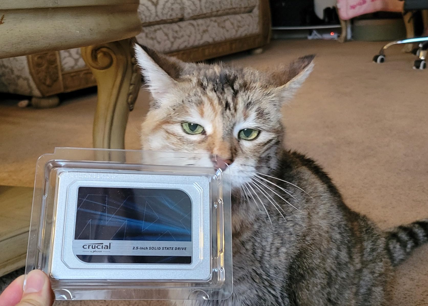 Crucial MX500 2TB 3D NAND SATA 2.5 Inch Internal SSD, up to 560MB/s - CT2000MX500SSD1 customer photo 2