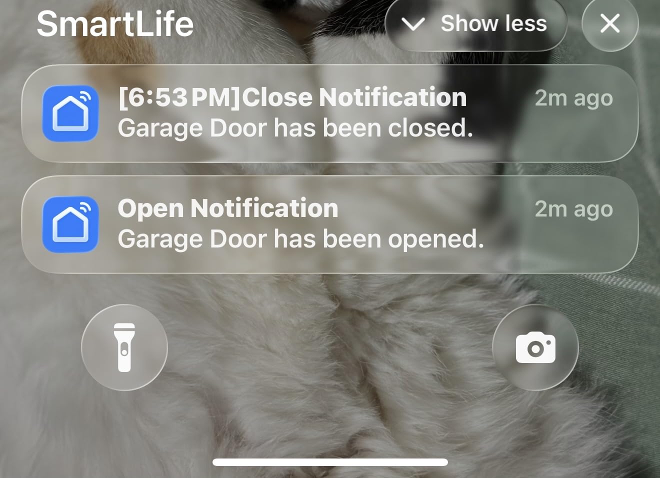eKyro Smart Garage Door Opener - Universal WiFi Remote Controller Compatible with Alexa, Google Home, iPhone, Siri, Android, Door Left Open Alert, Door Security Systems, Updated Model customer photo 2